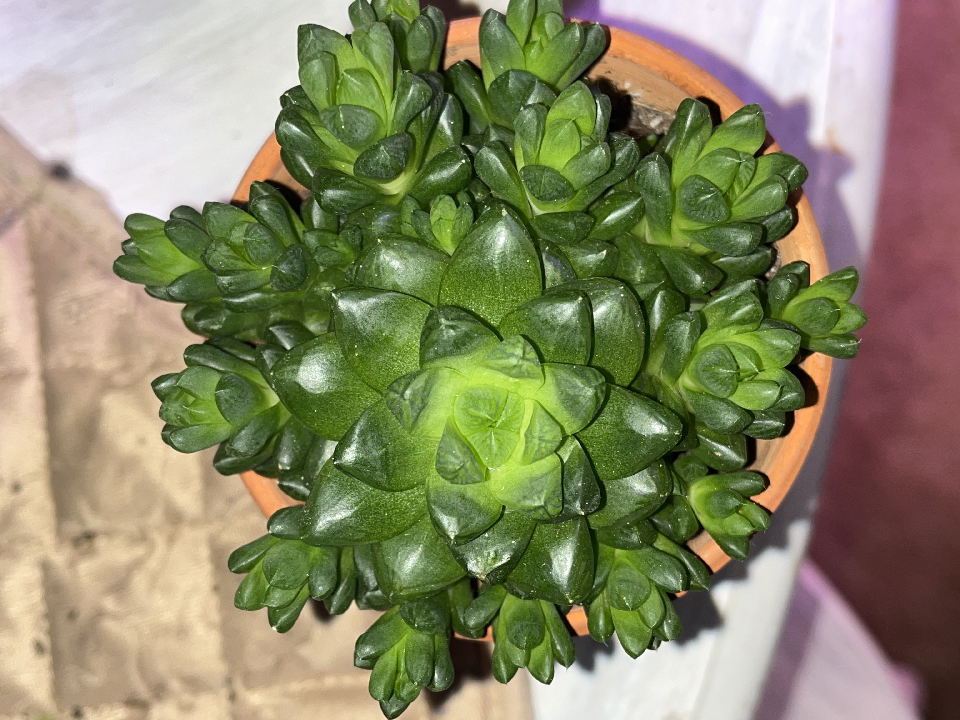 Photo from the post