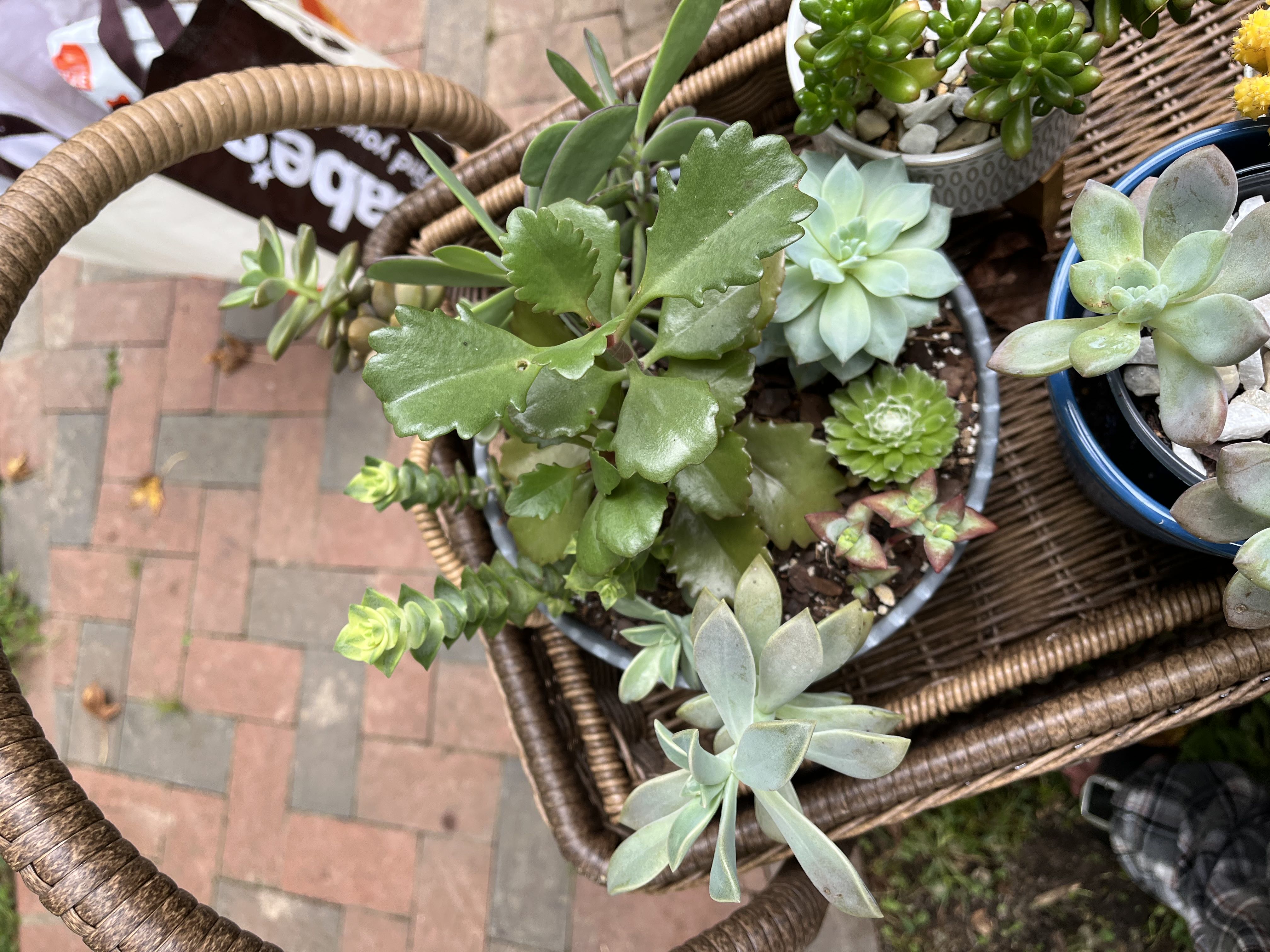 Photo from the post