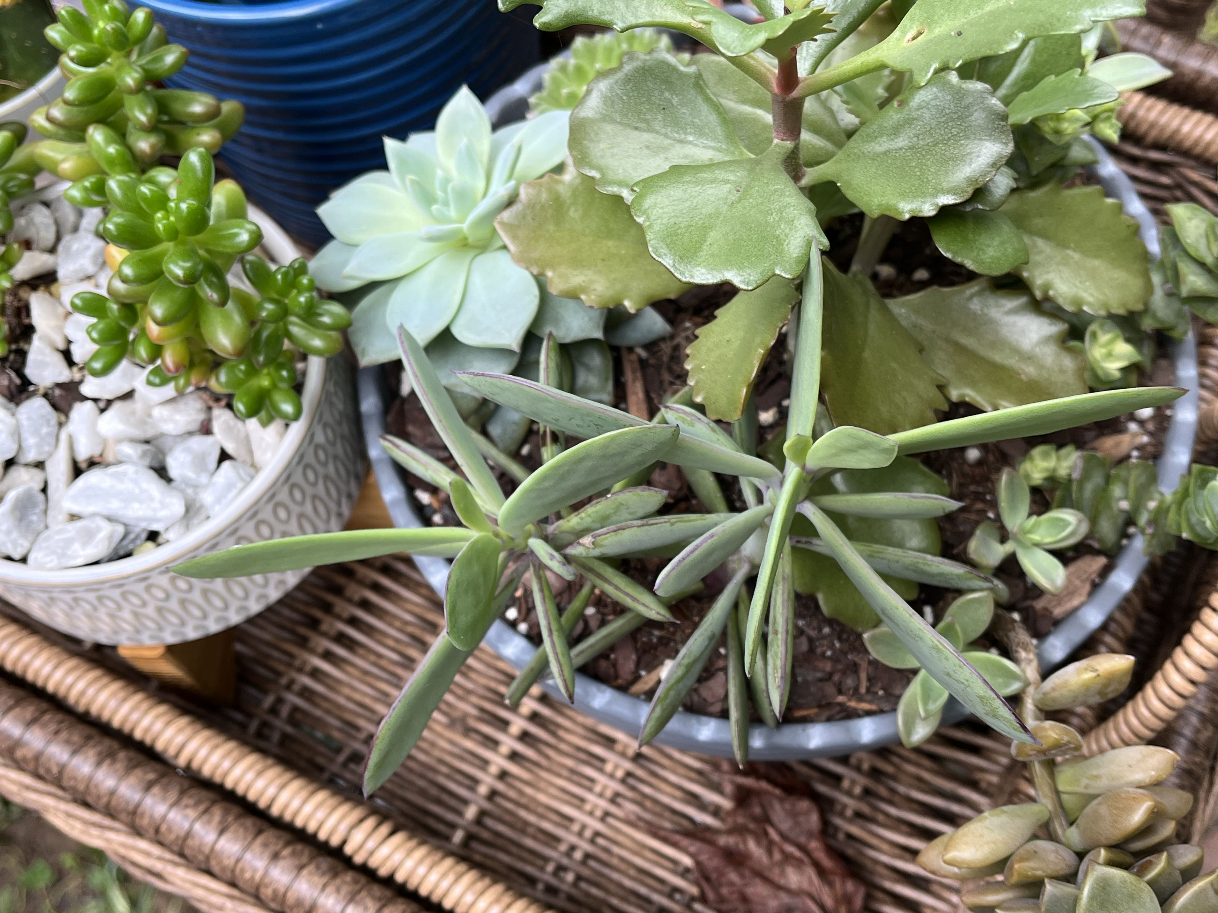 Photo from the post