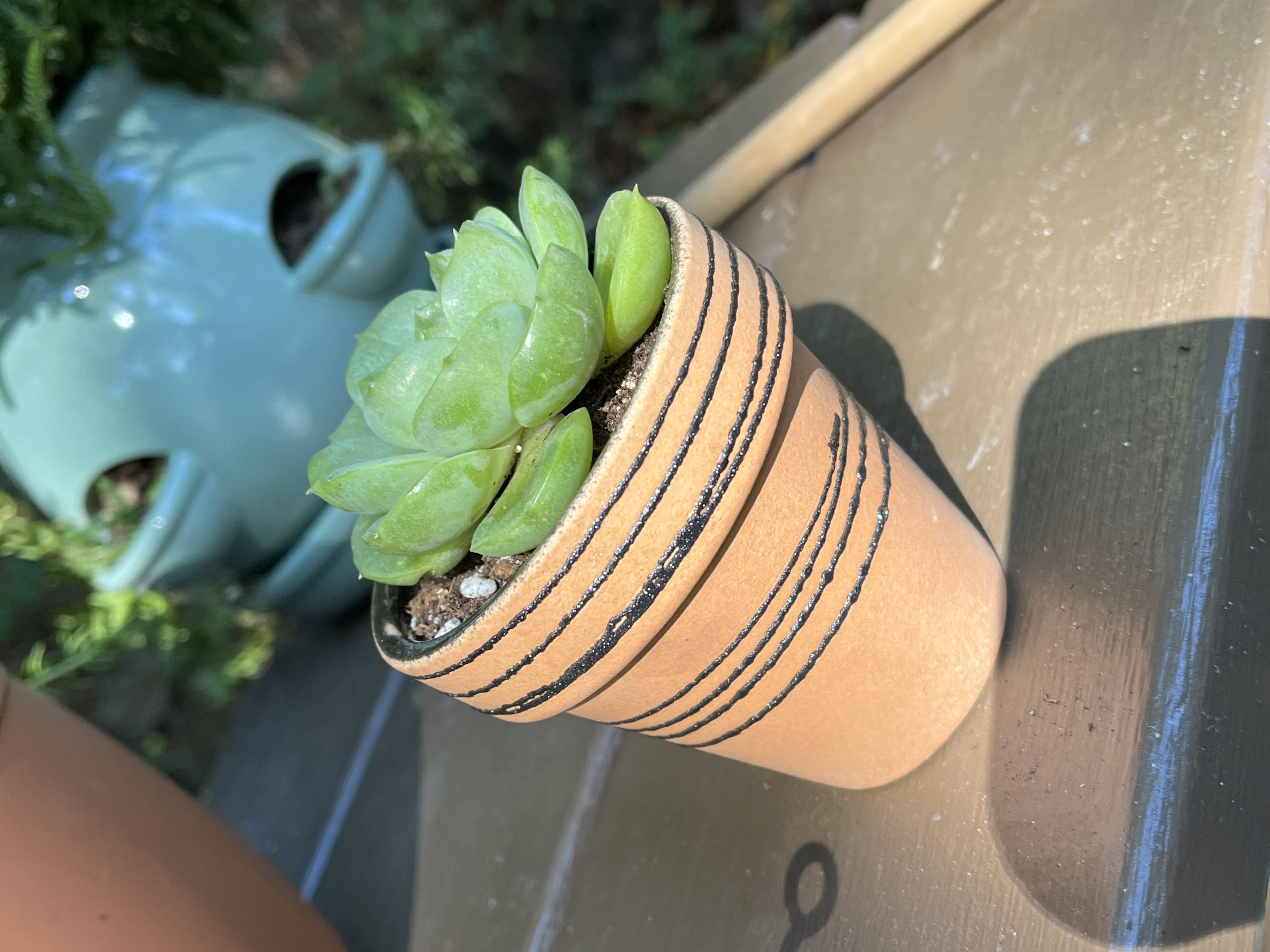 Photo from the post