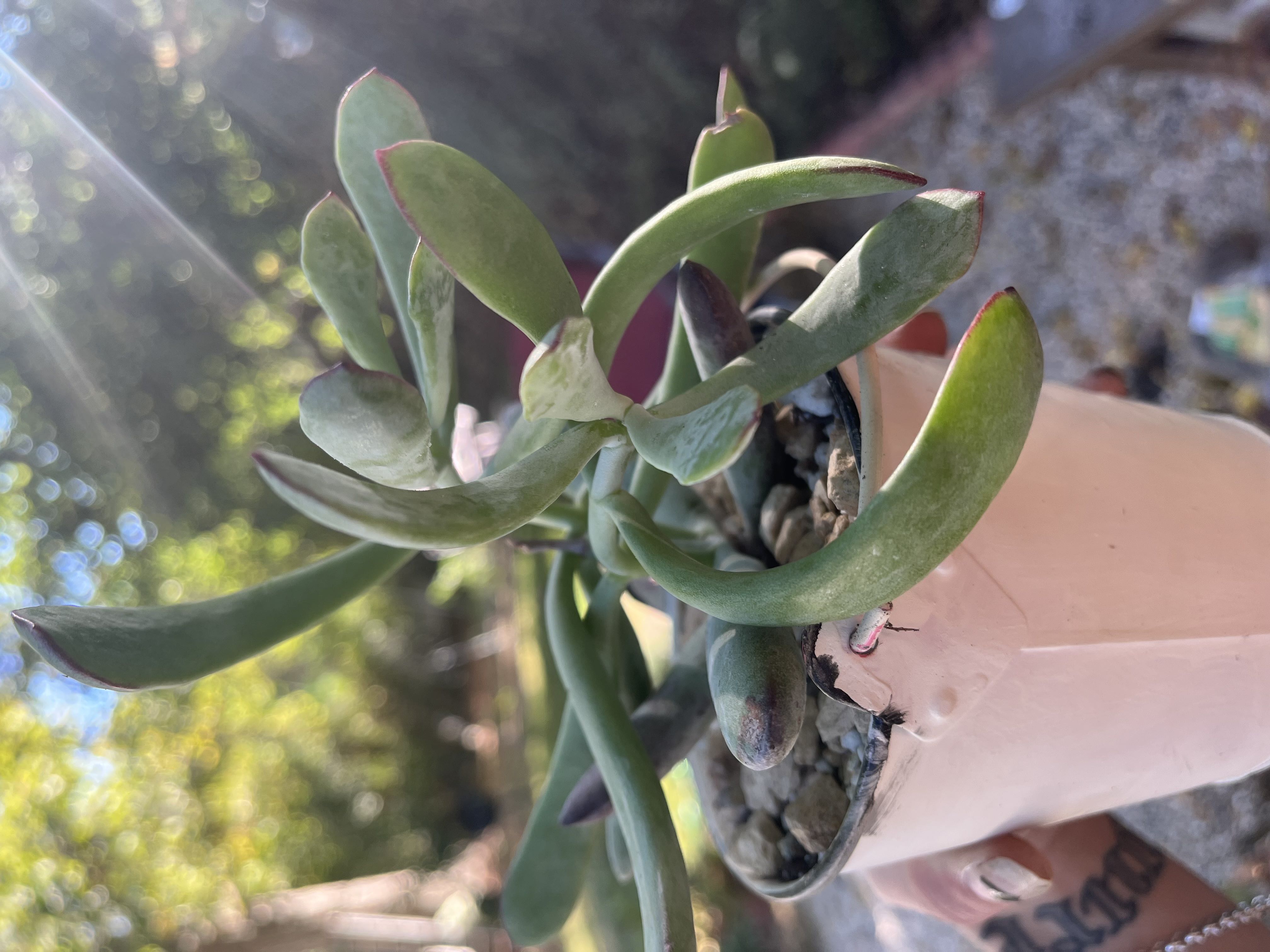 Photo from the post