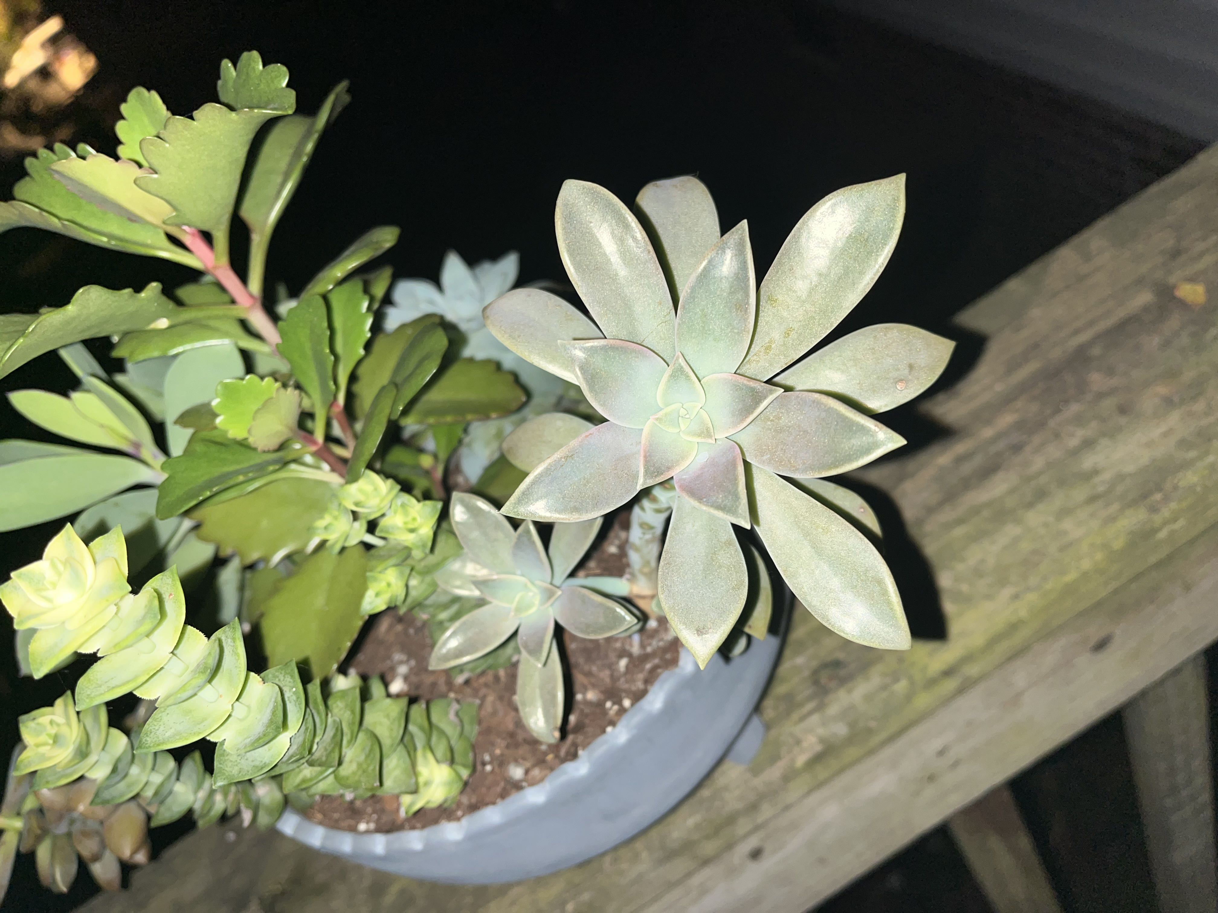 Photo from the post