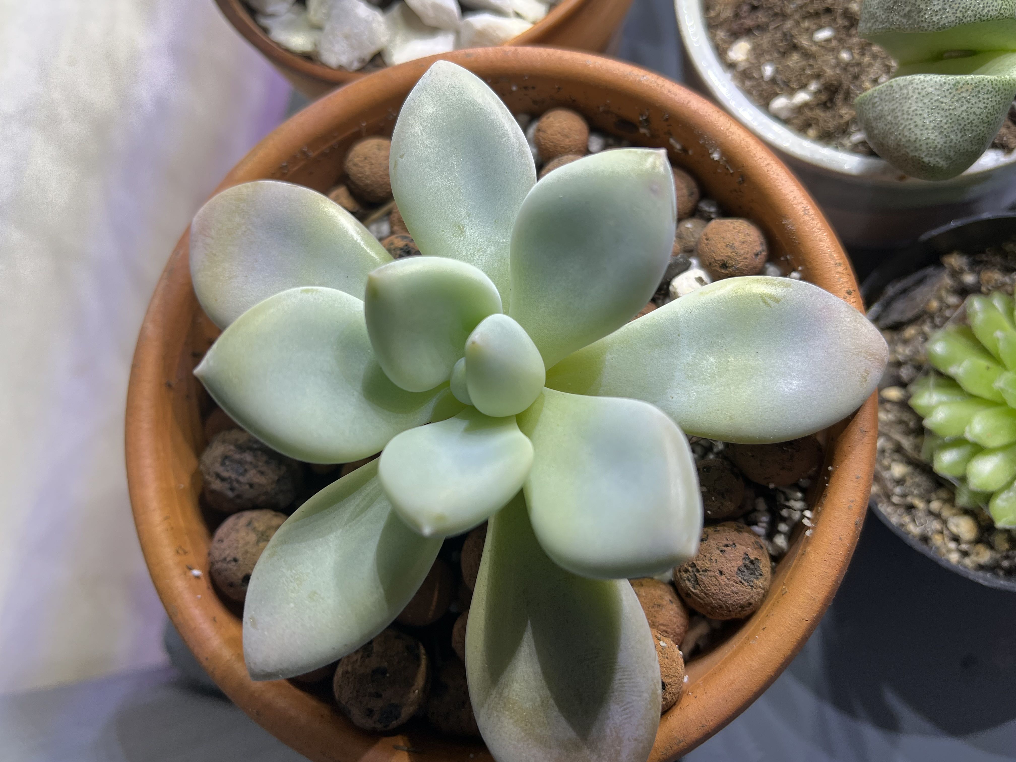 Photo from the post