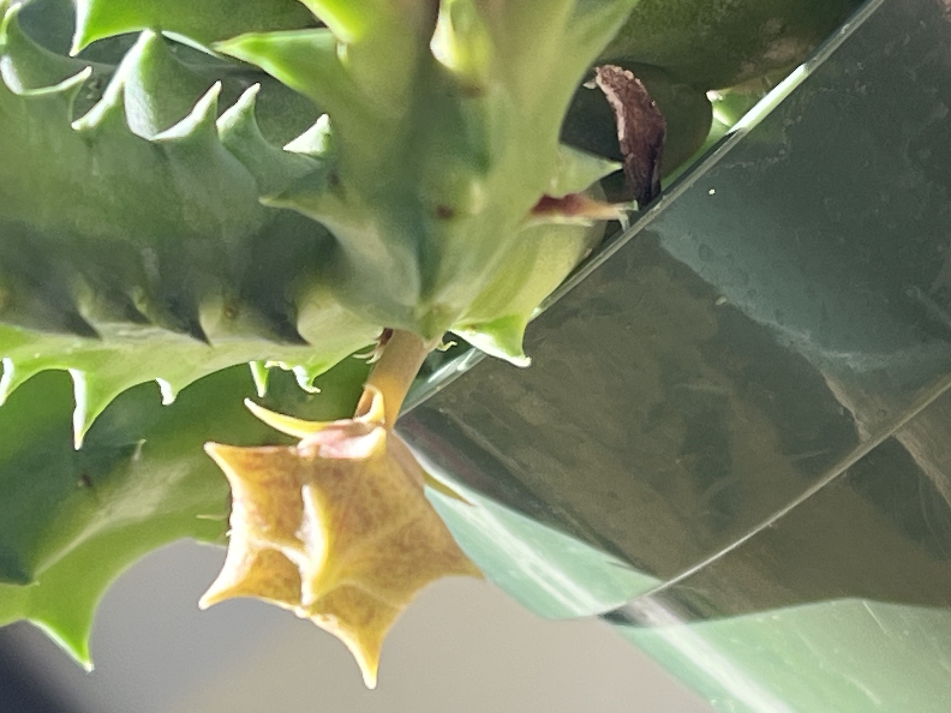 Photo from the post