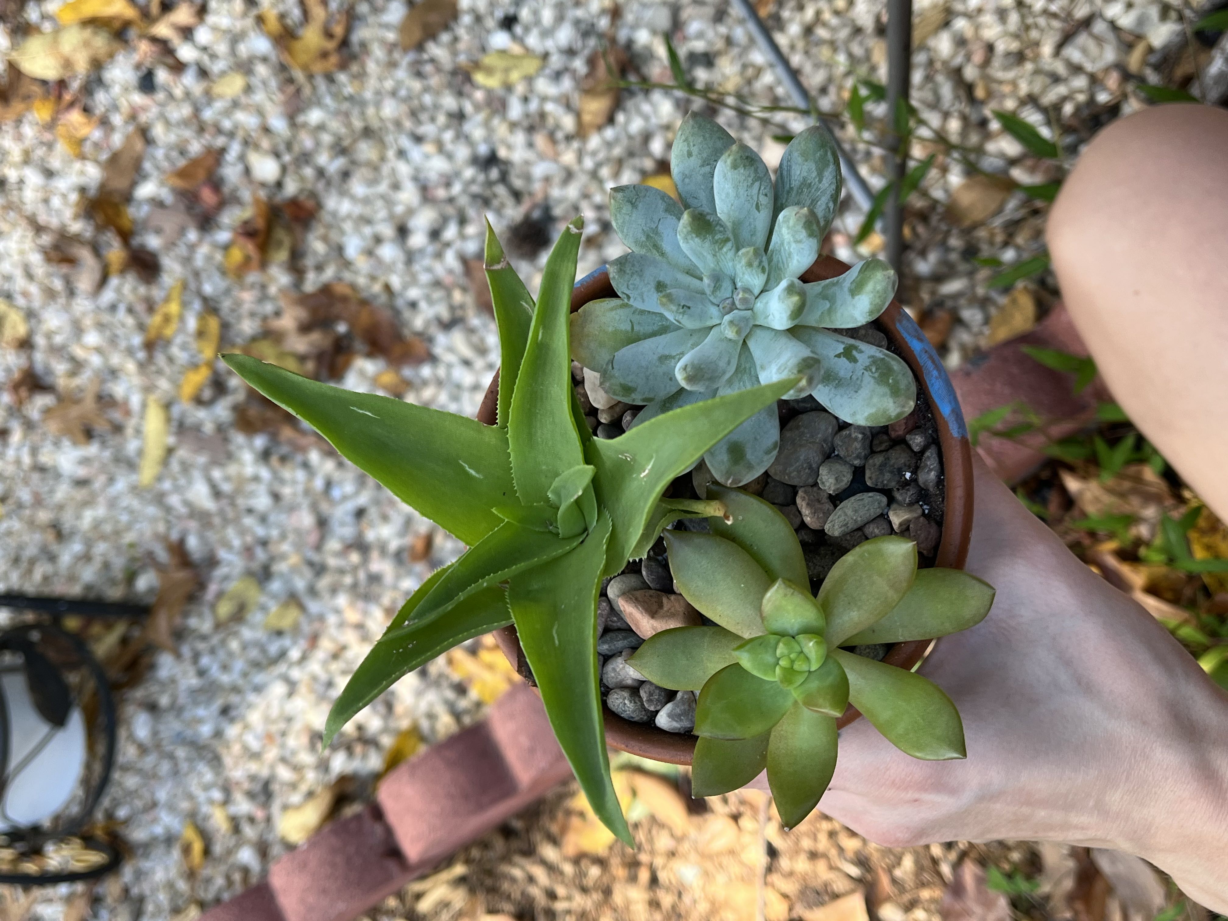 Photo from the post