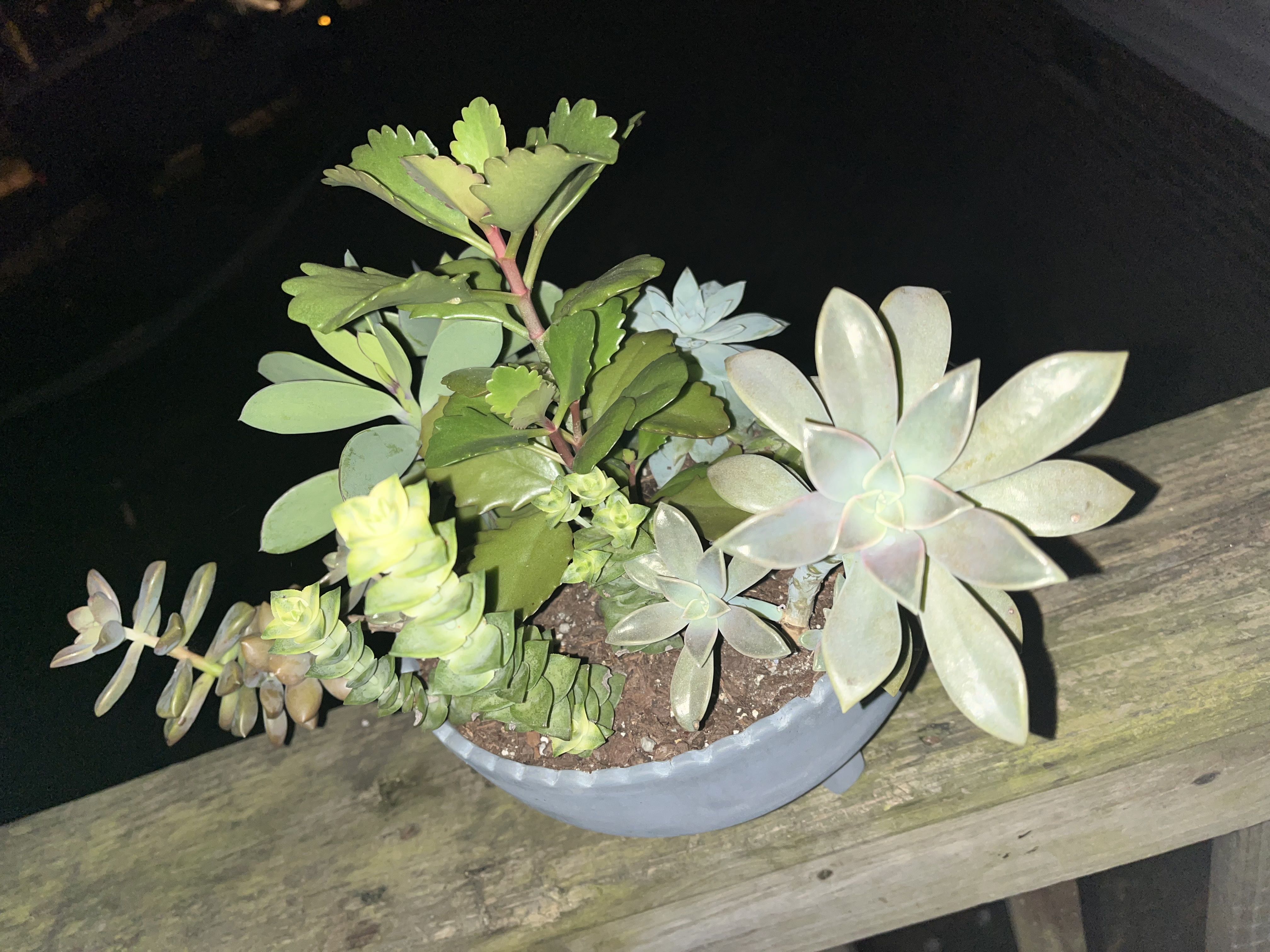 Photo from the post