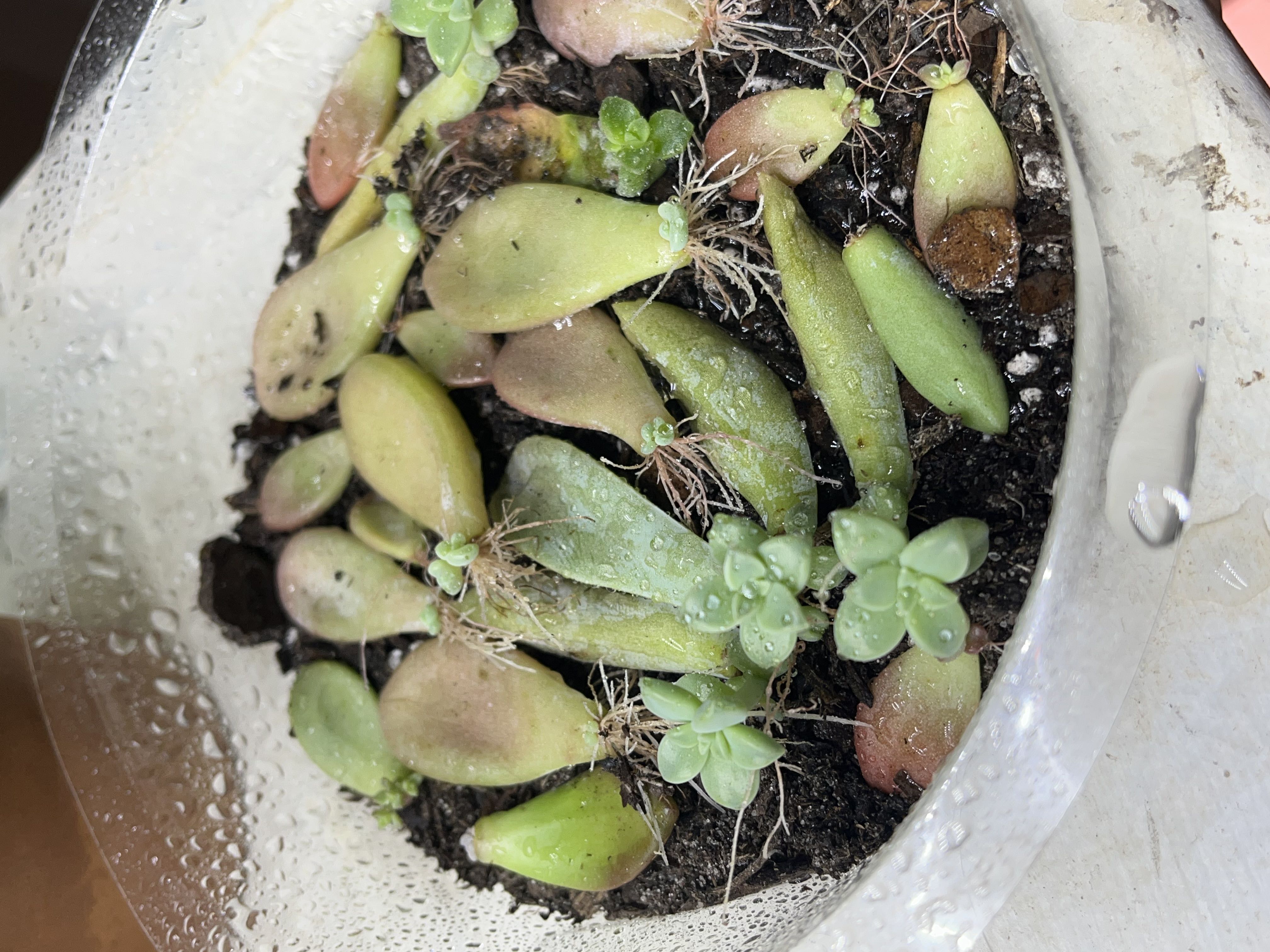 Photo from the post