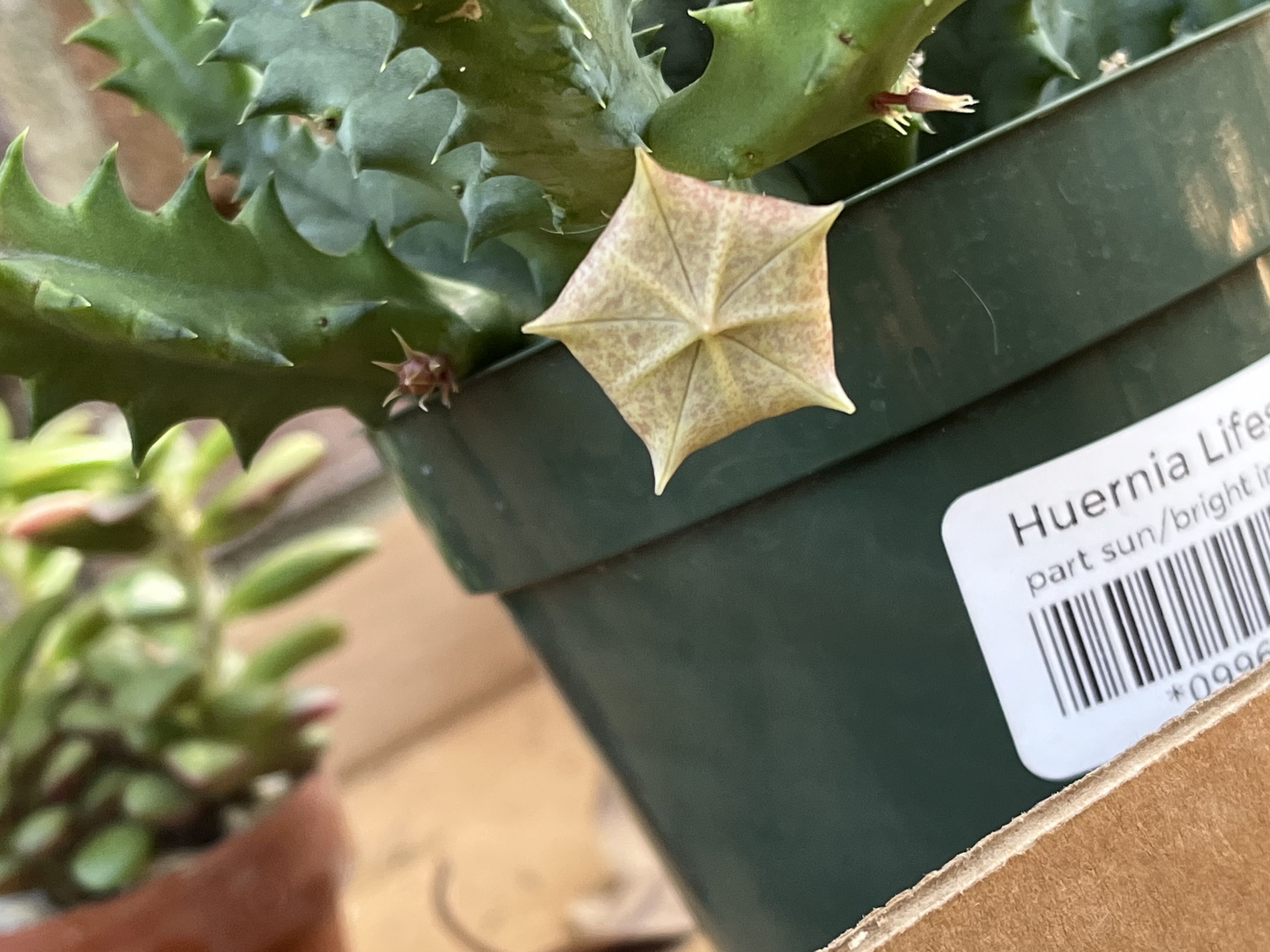 Photo from the post