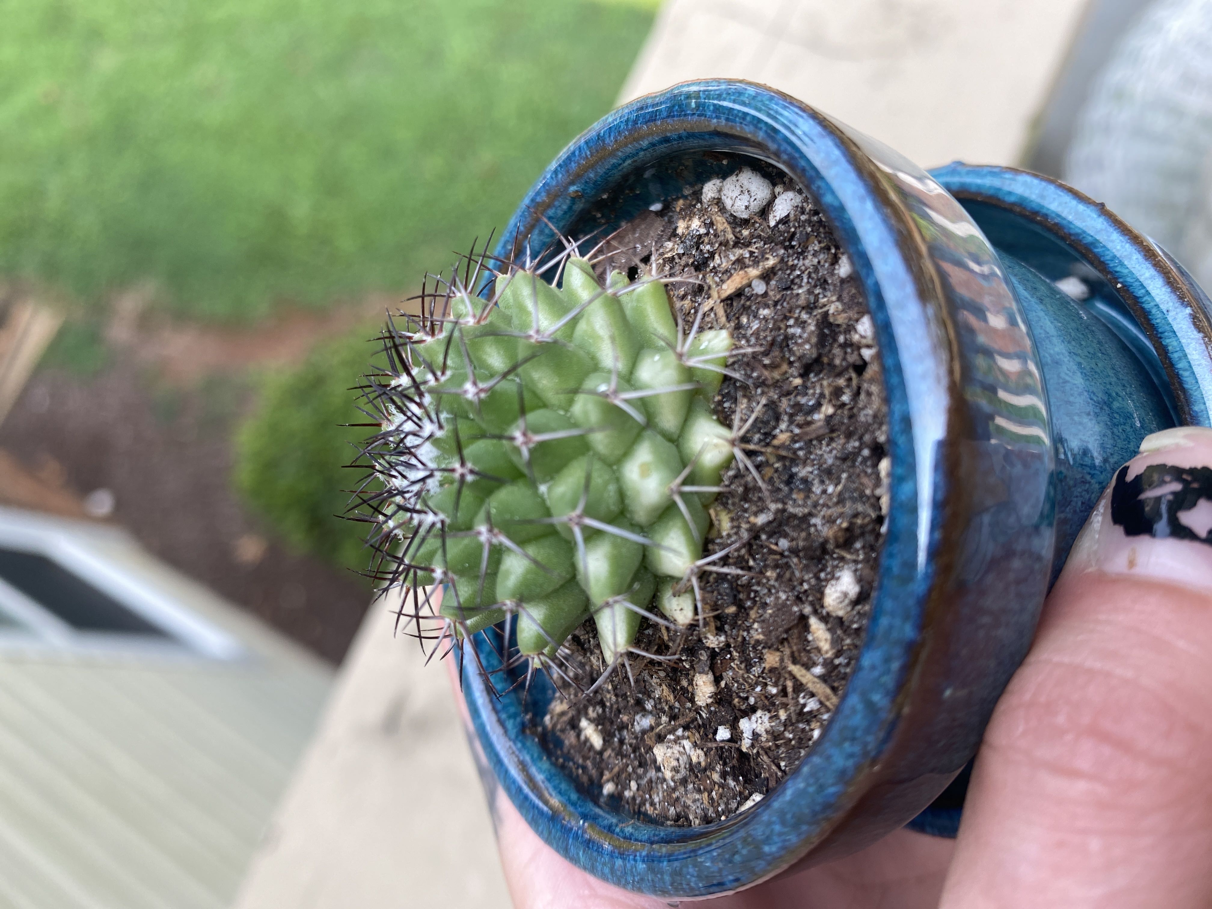 Photo from the post