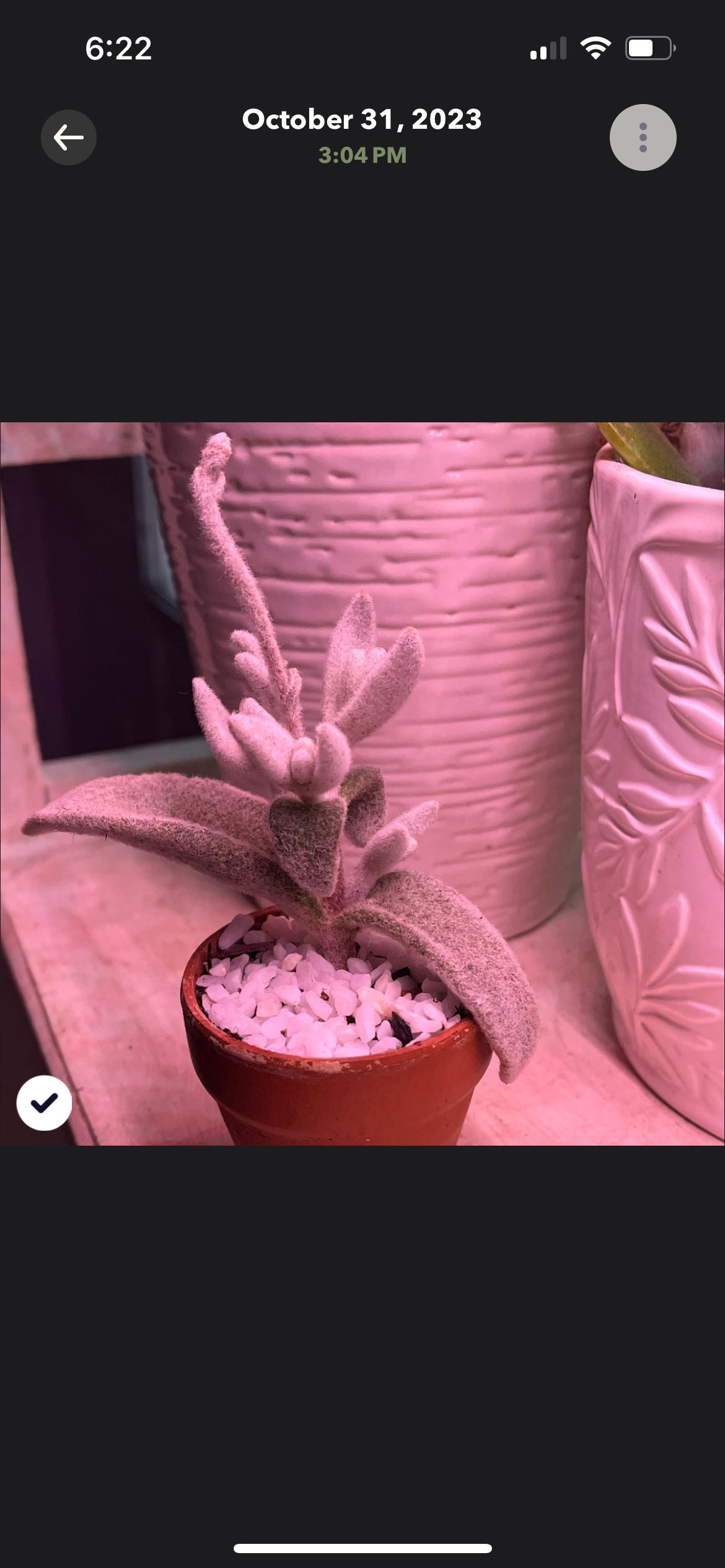 Photo from the post