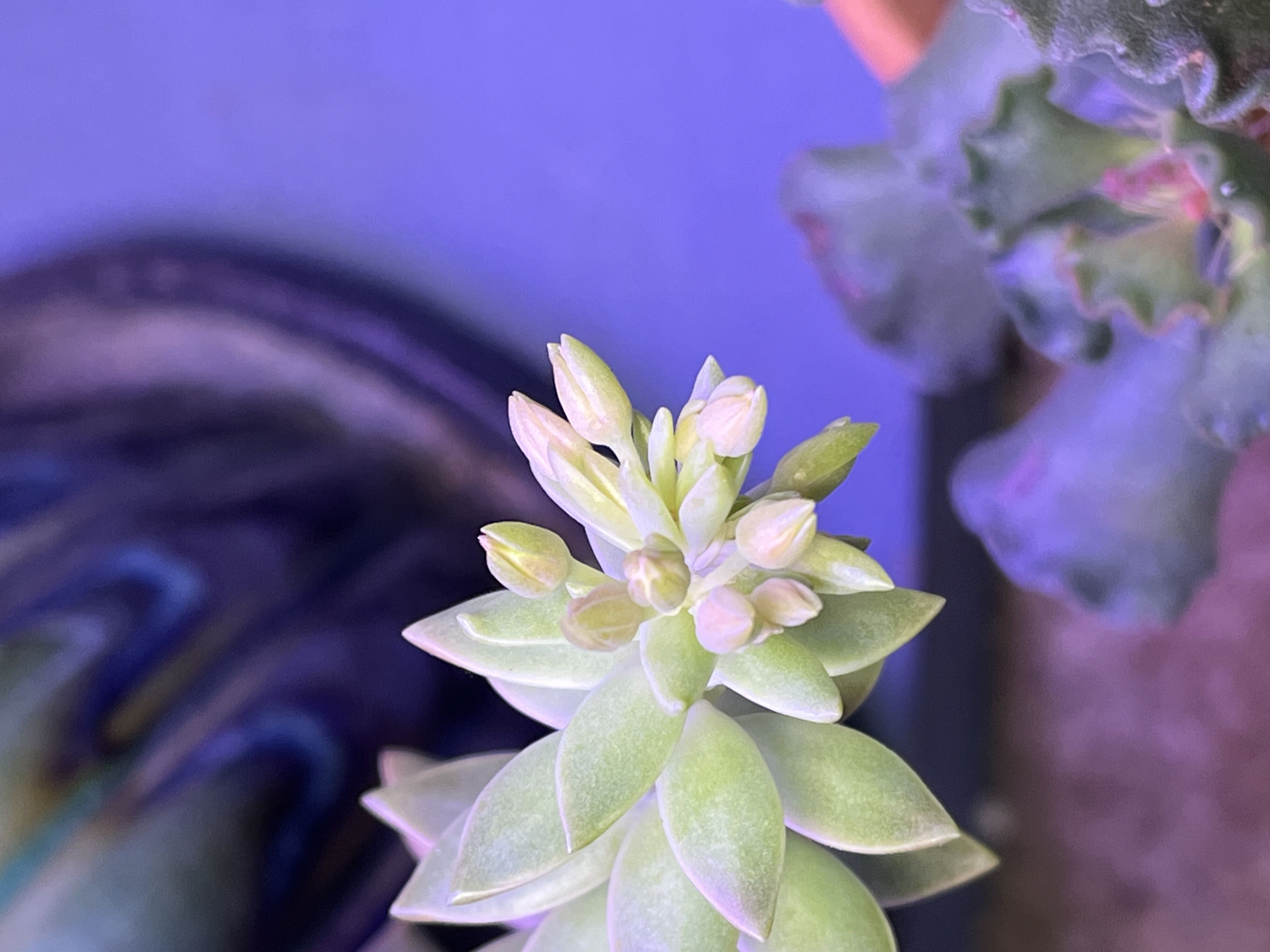 Photo from the post