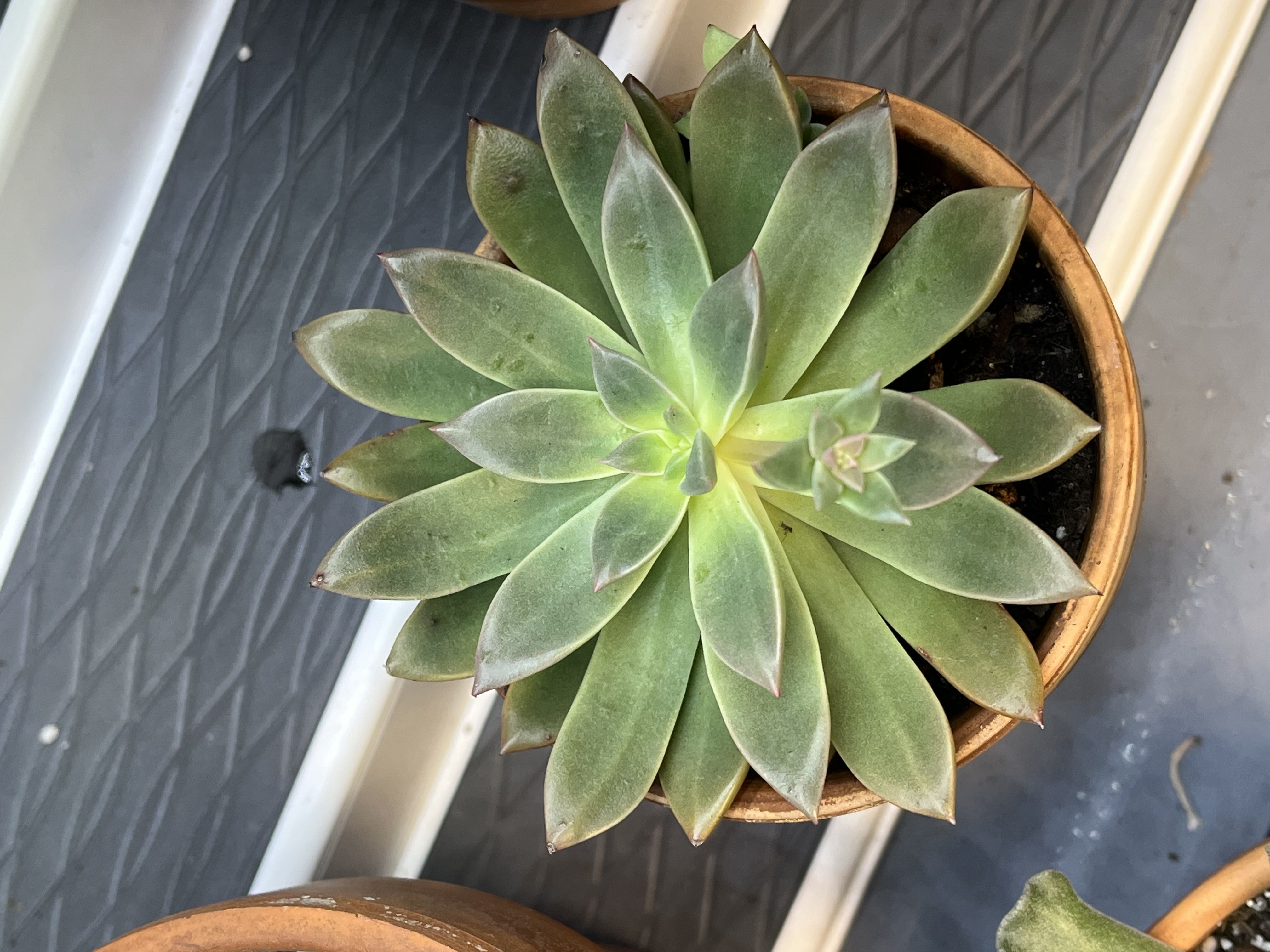 Photo from the post