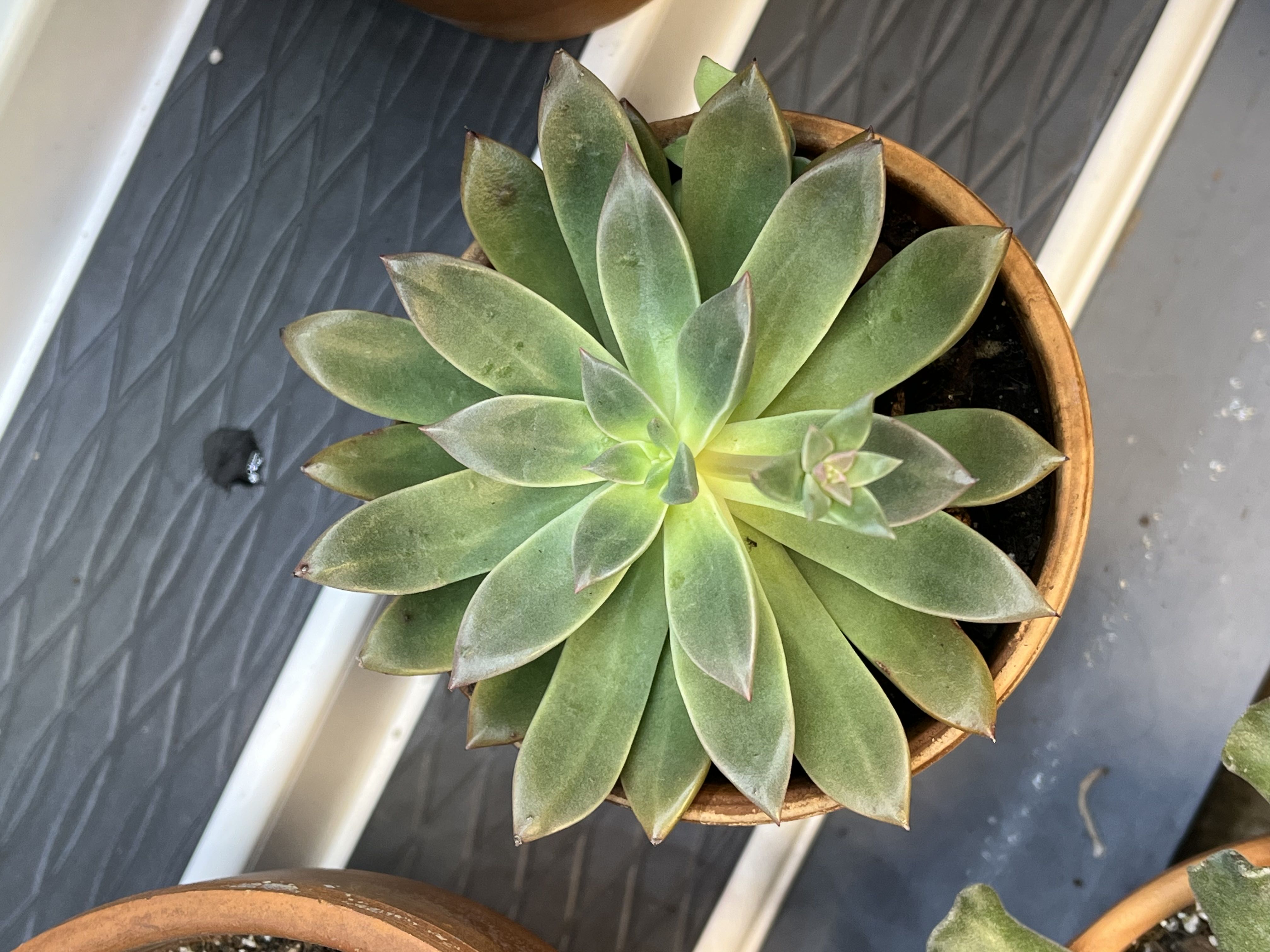 Photo from the post