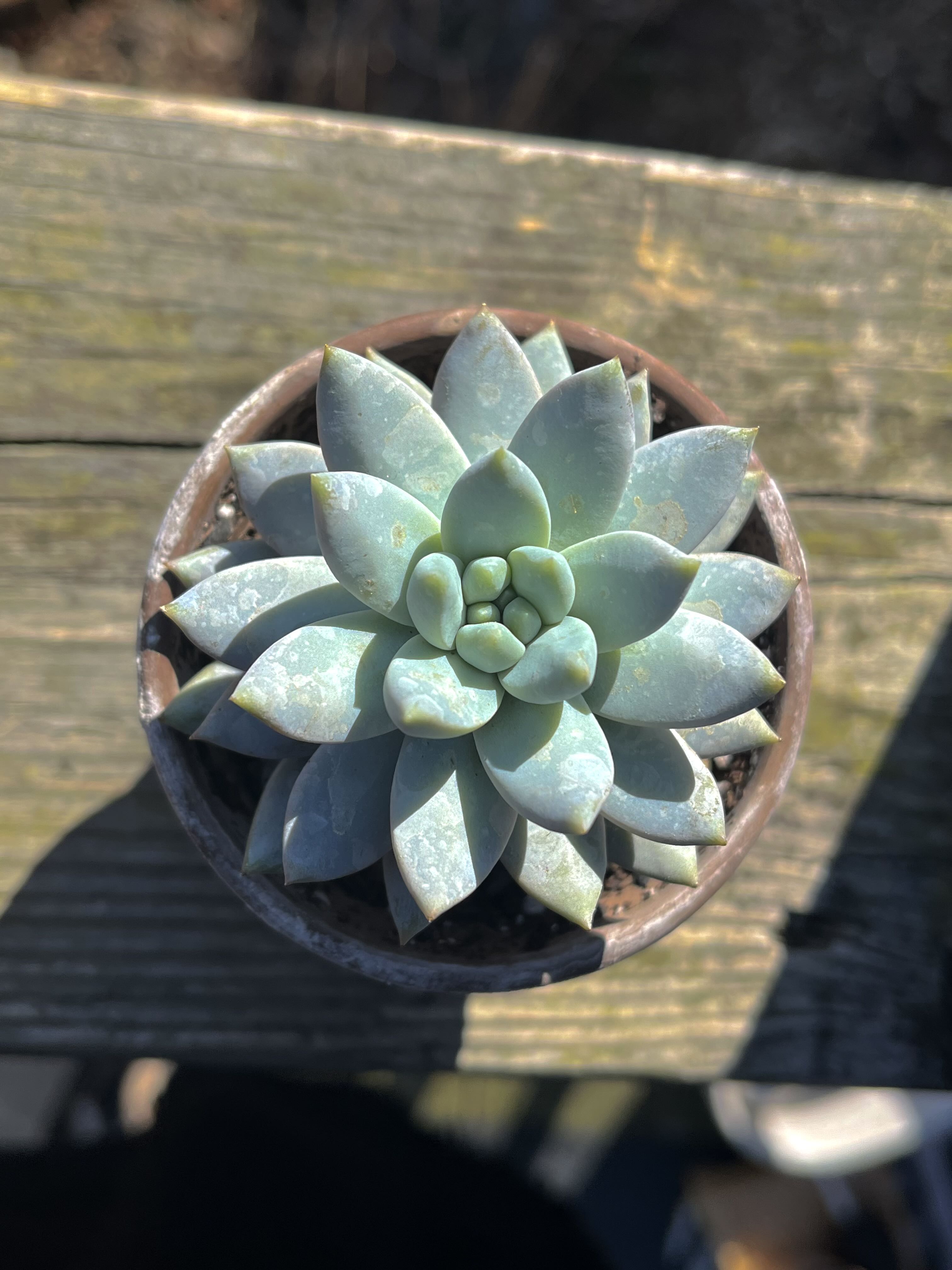 Photo from the post