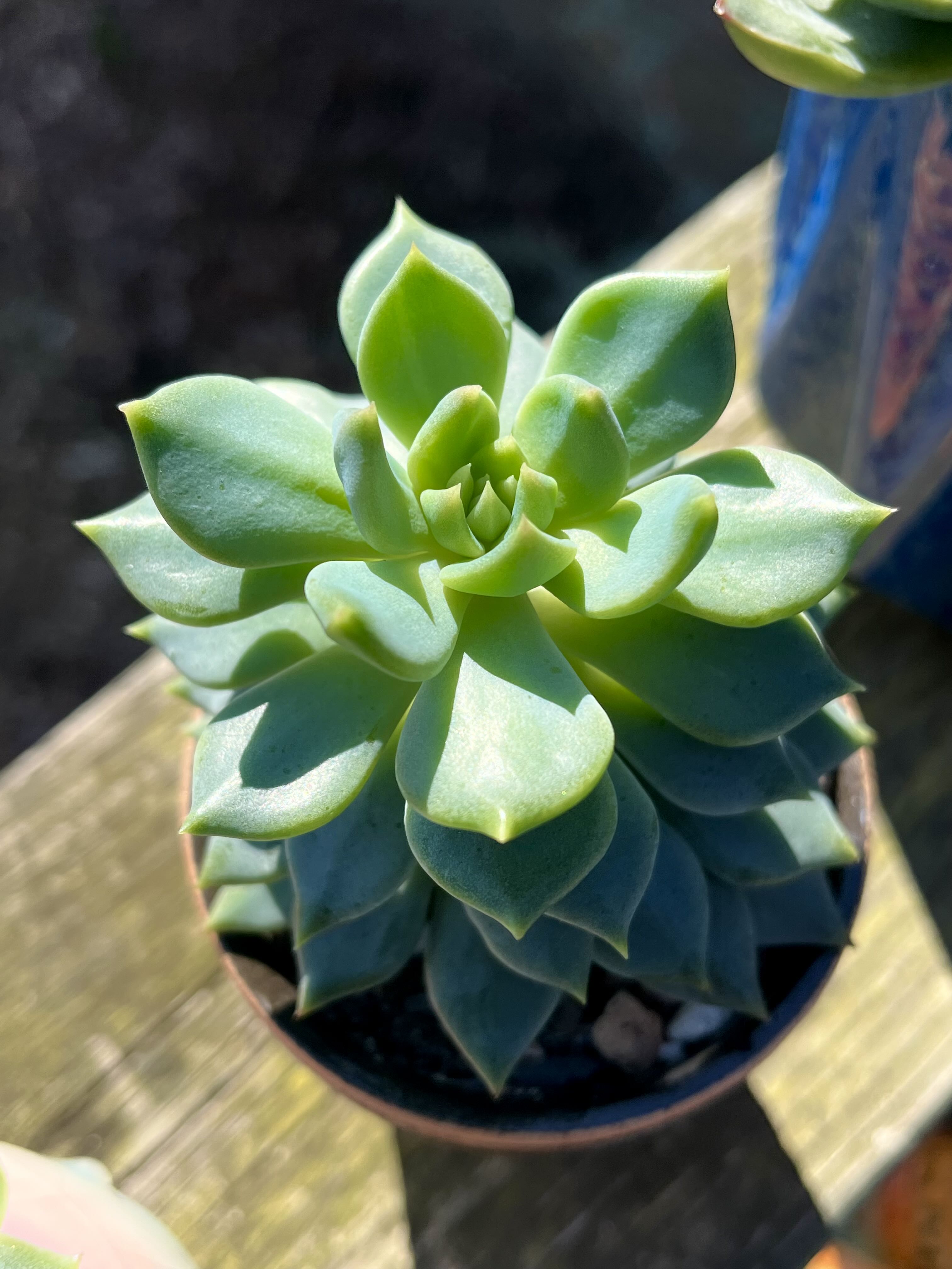 Photo from the post