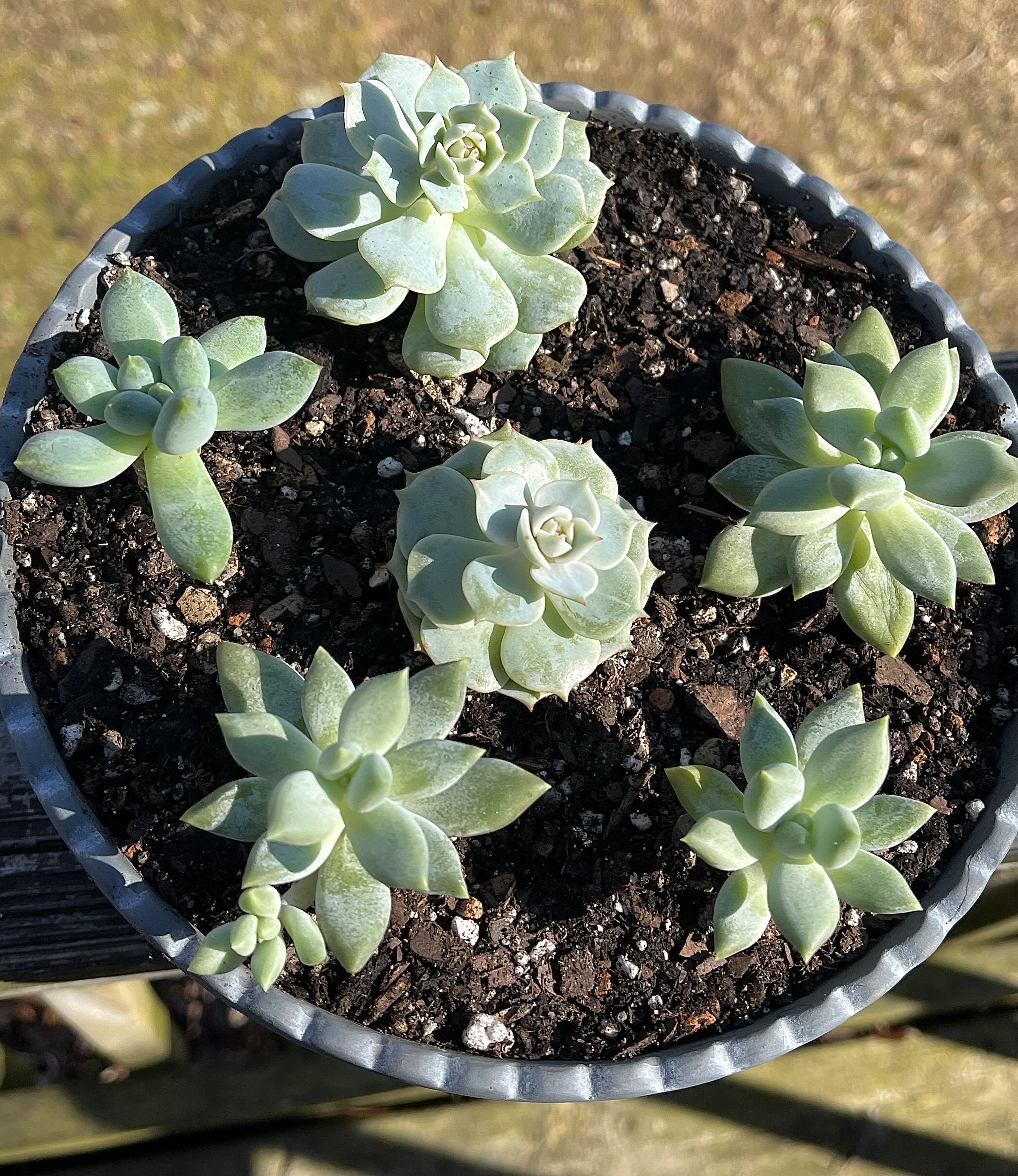 Photo from the post