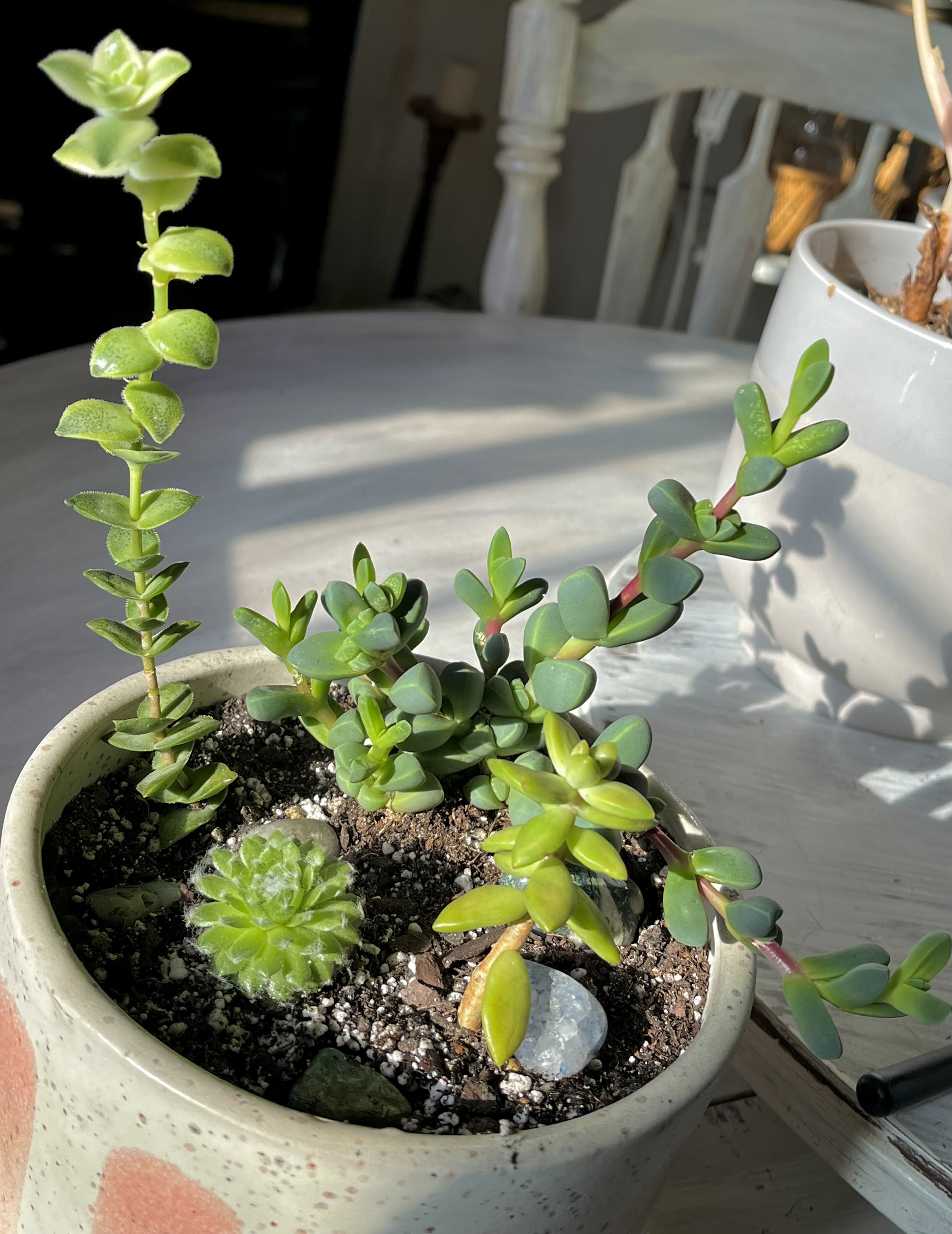 Photo from the post