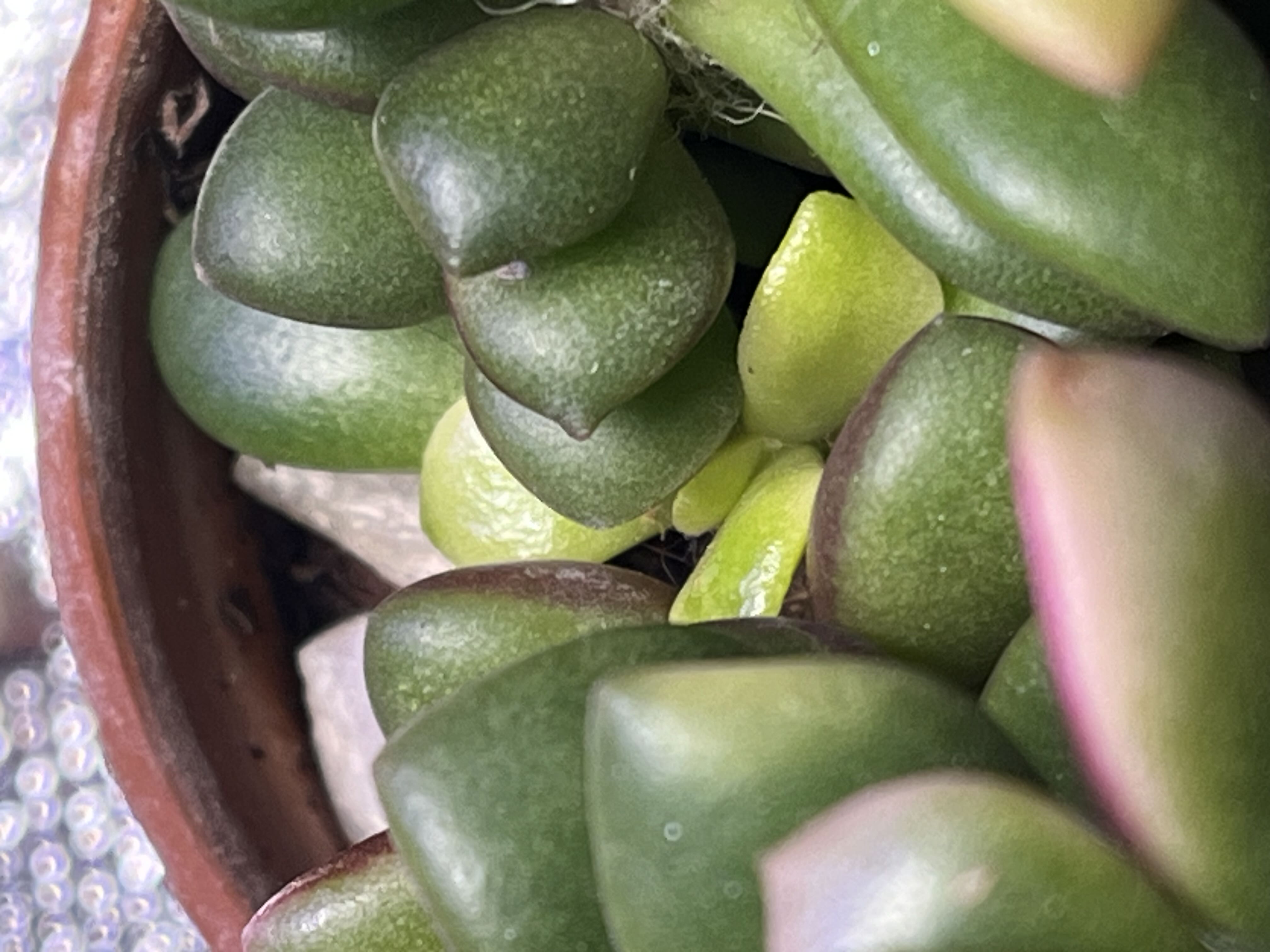 Photo from the post