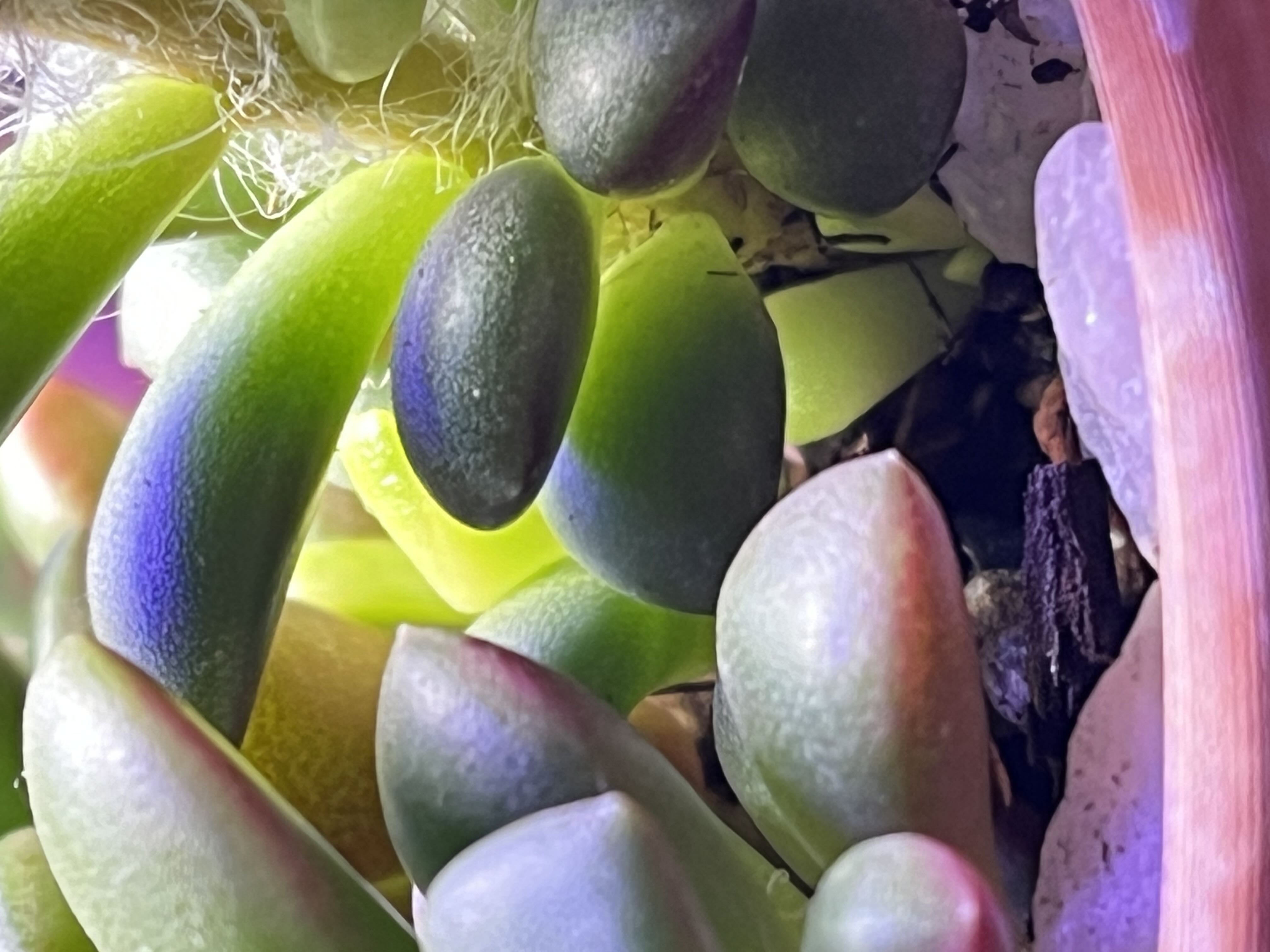 Photo from the post