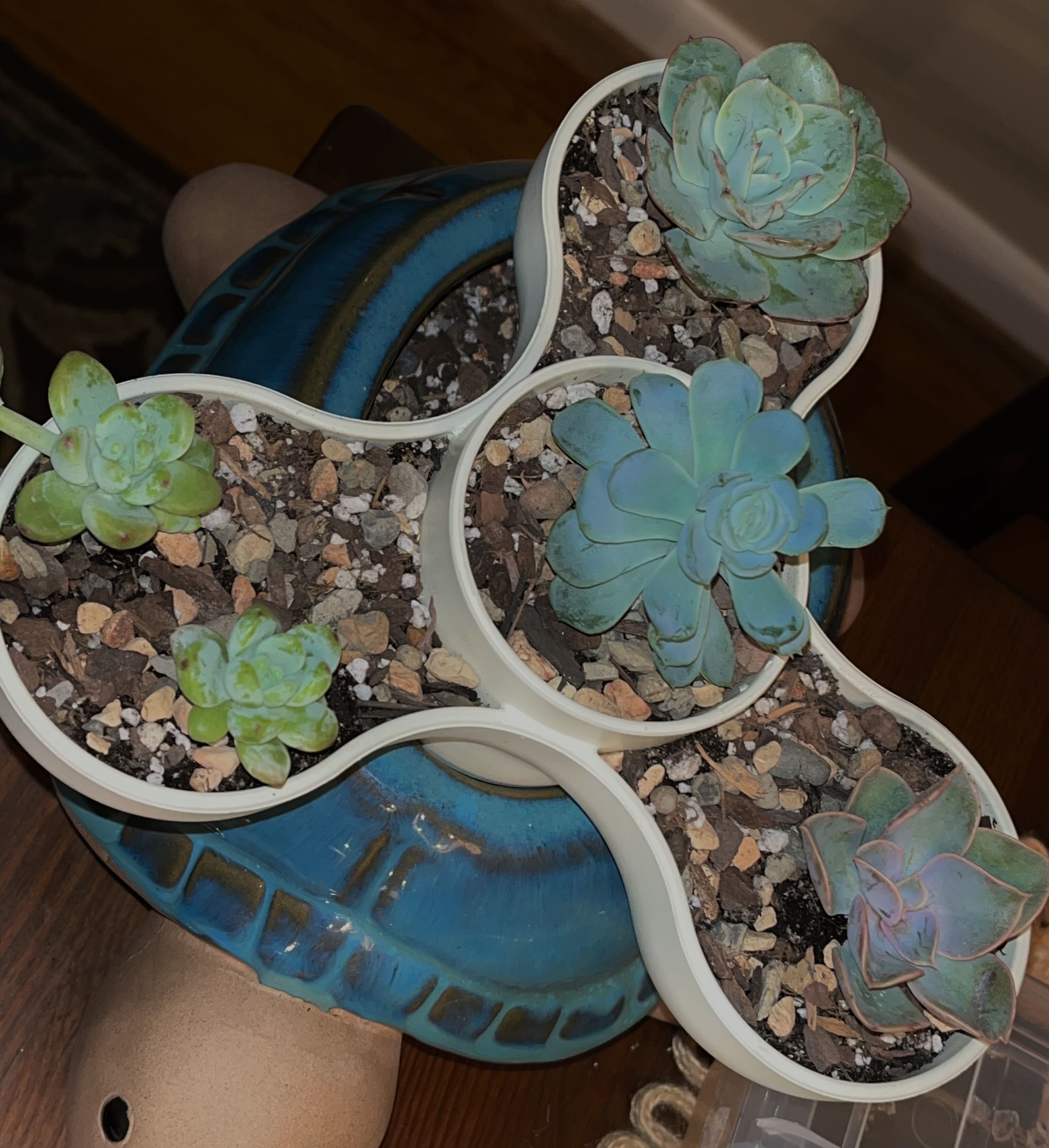 Photo from the post