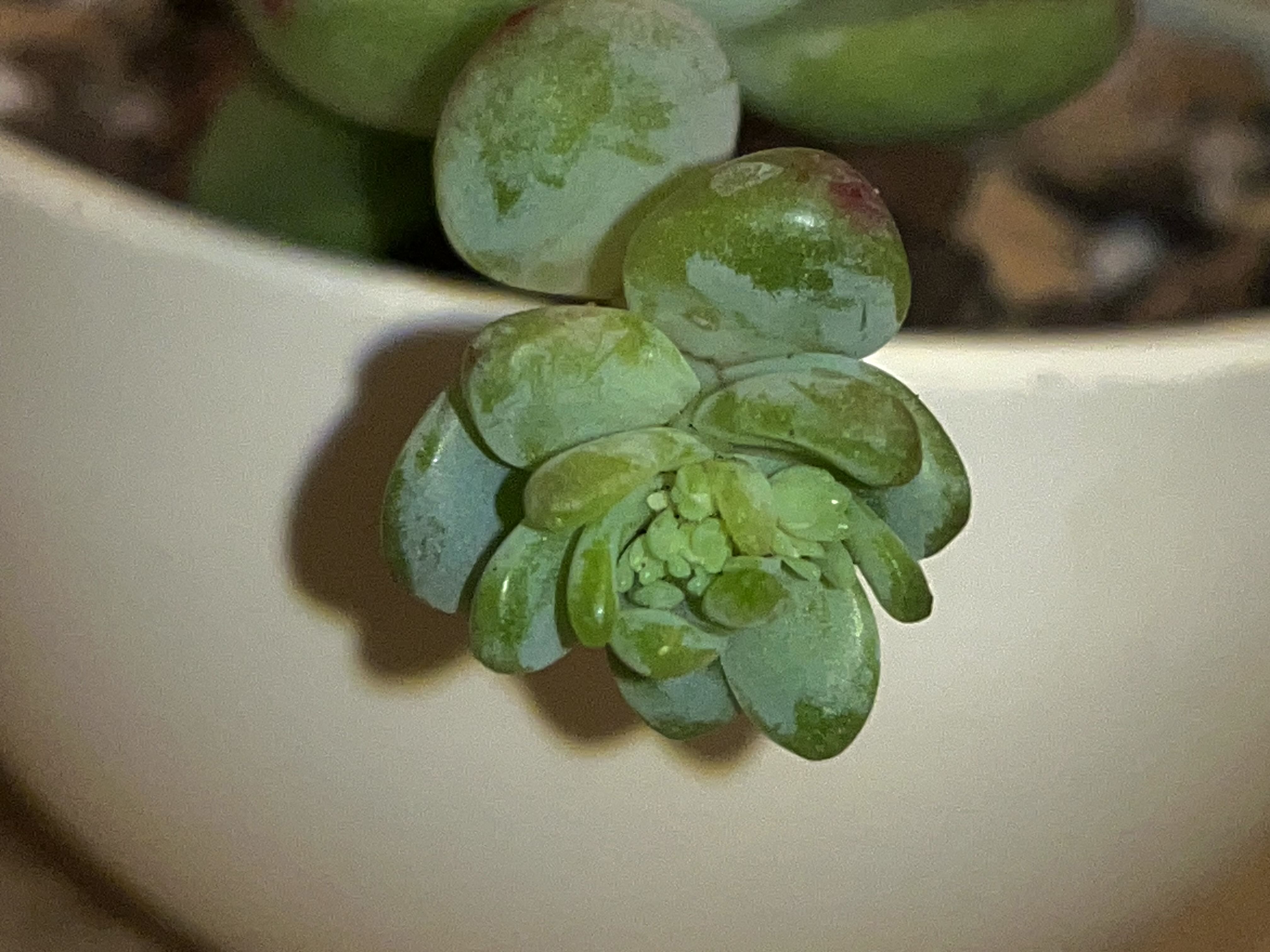 Photo from the post