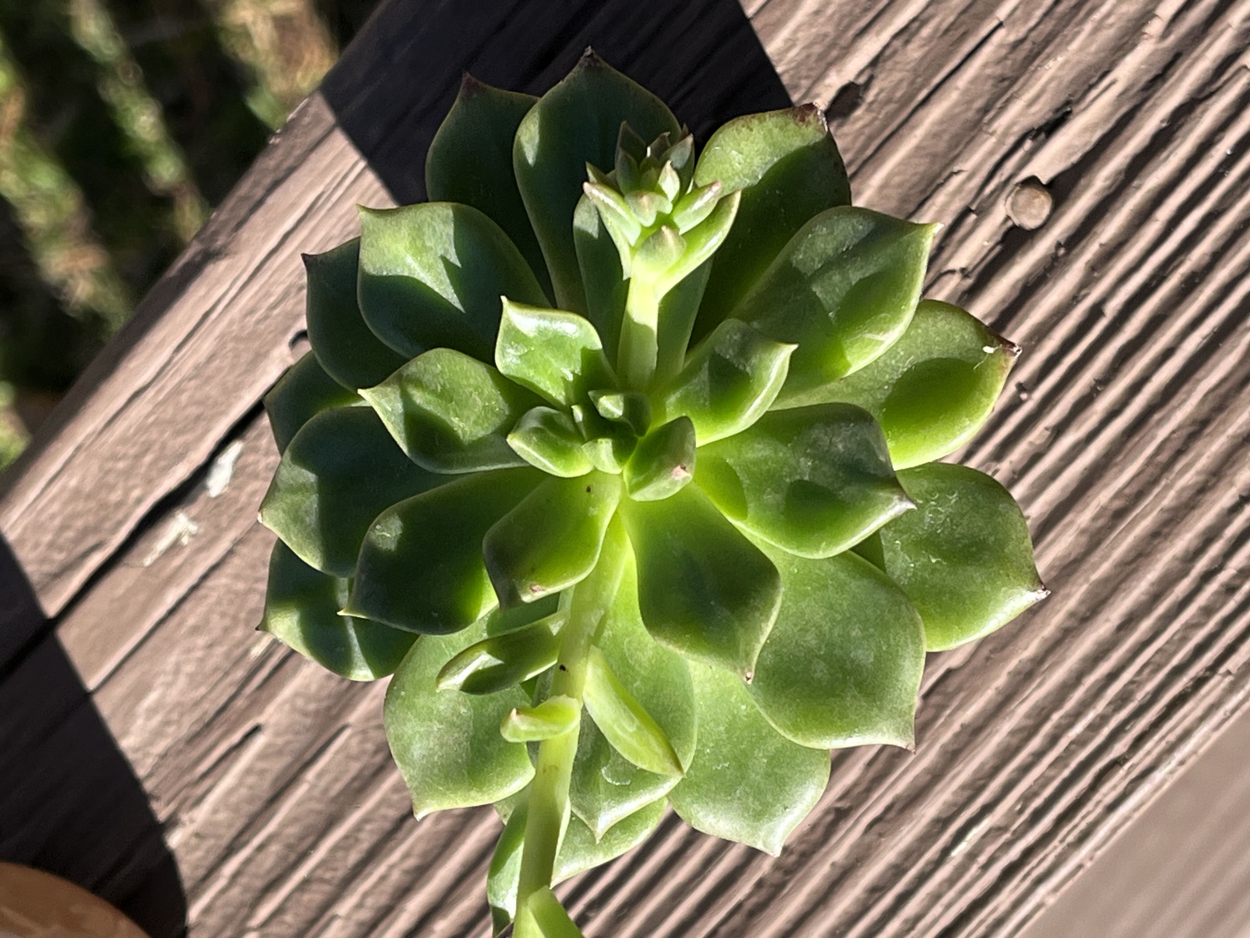 Photo from the post