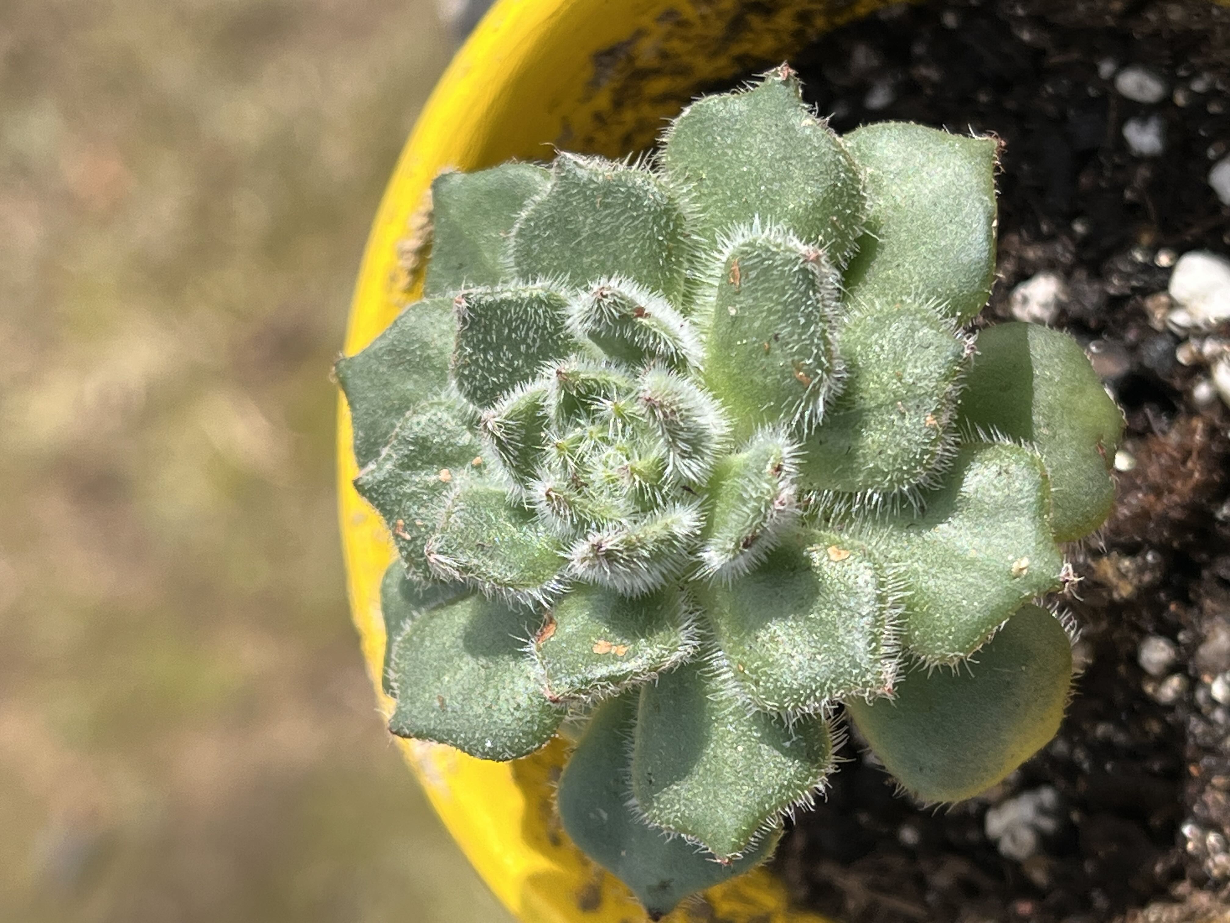 Photo from the post