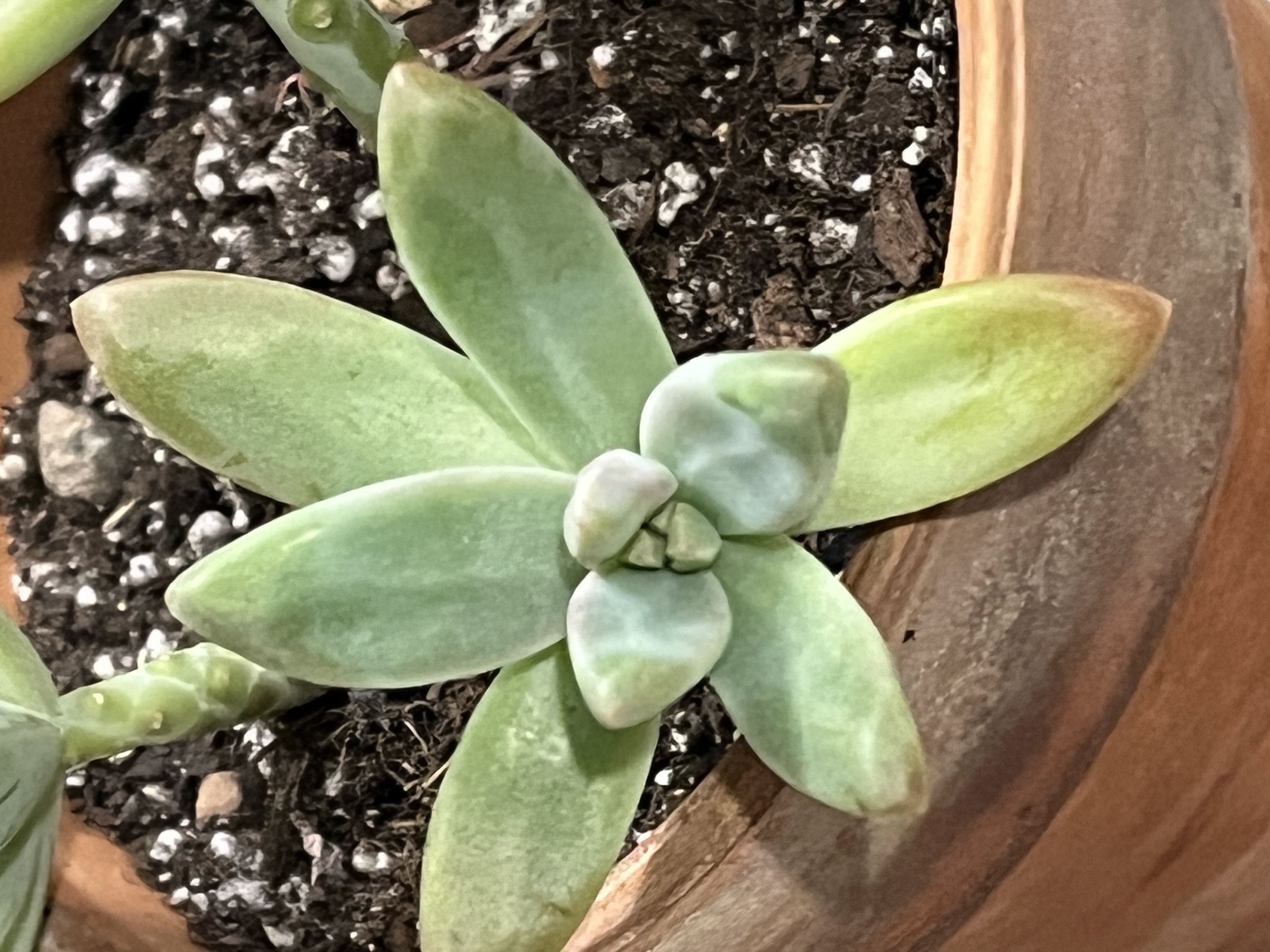 Photo from the post