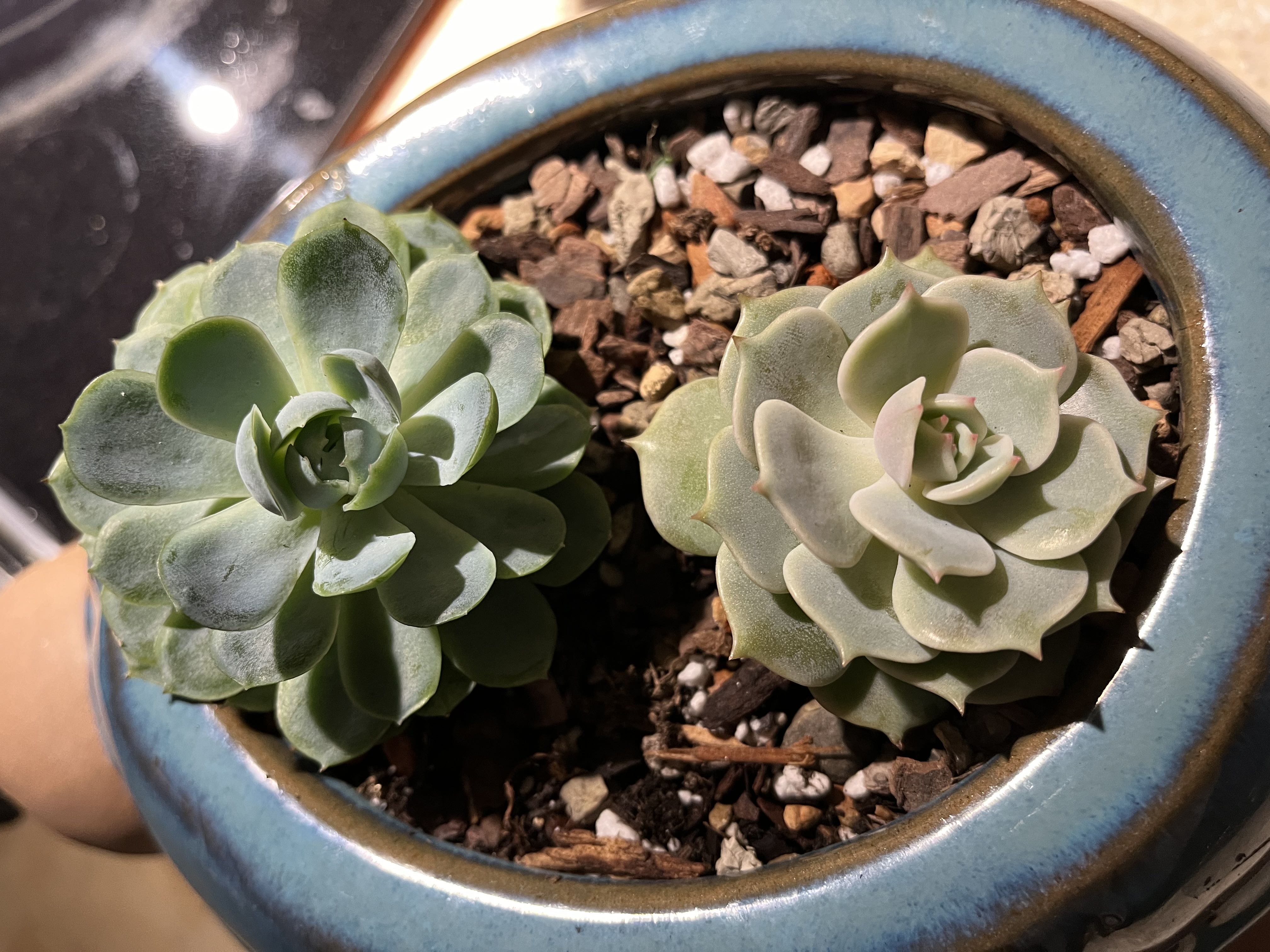 Photo from the post
