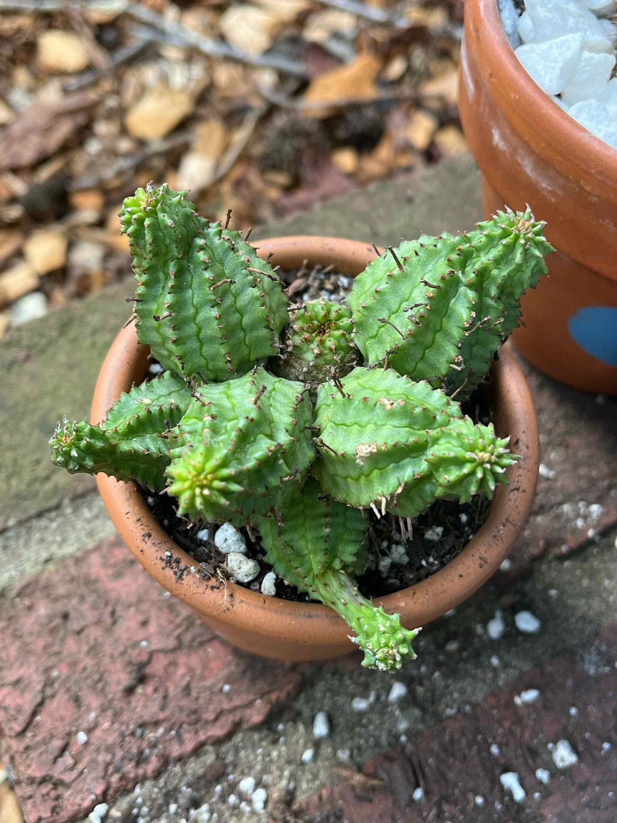 Photo from the post