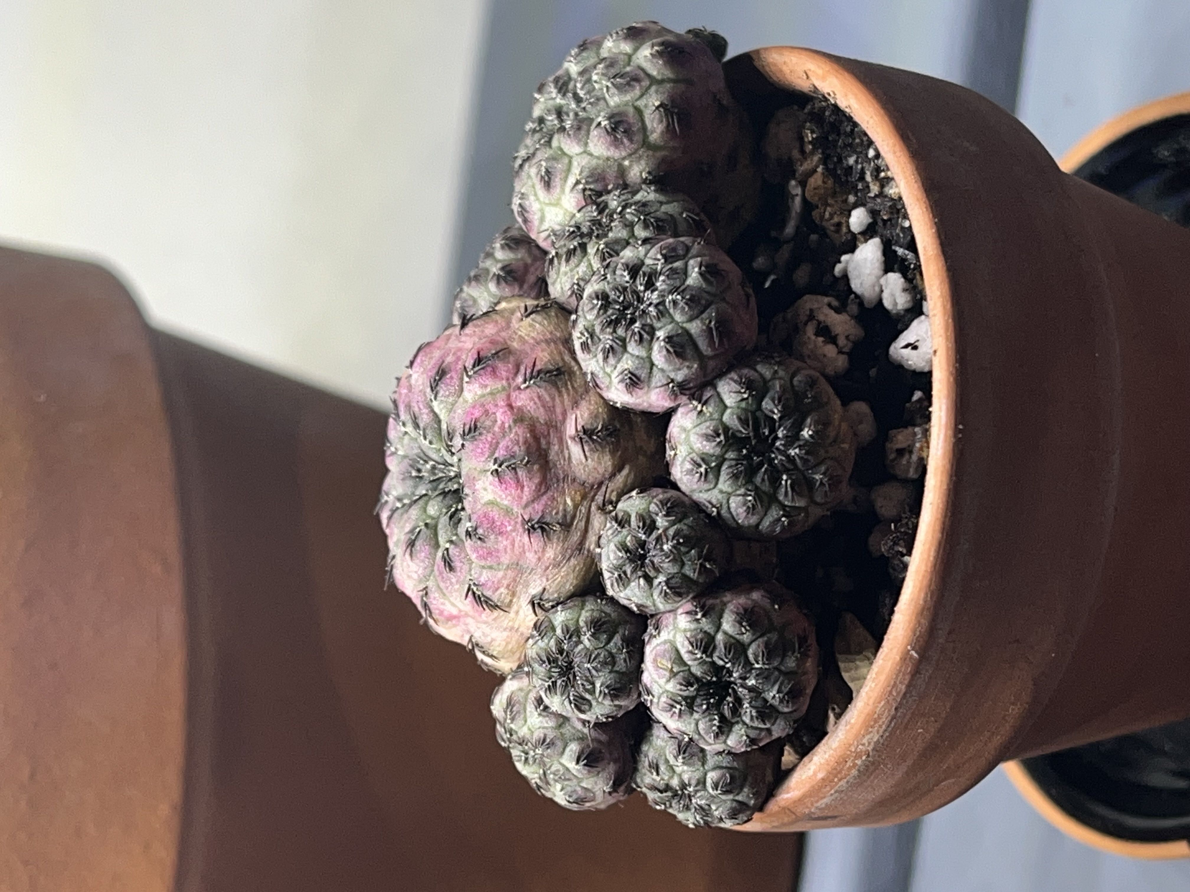 Photo from the post