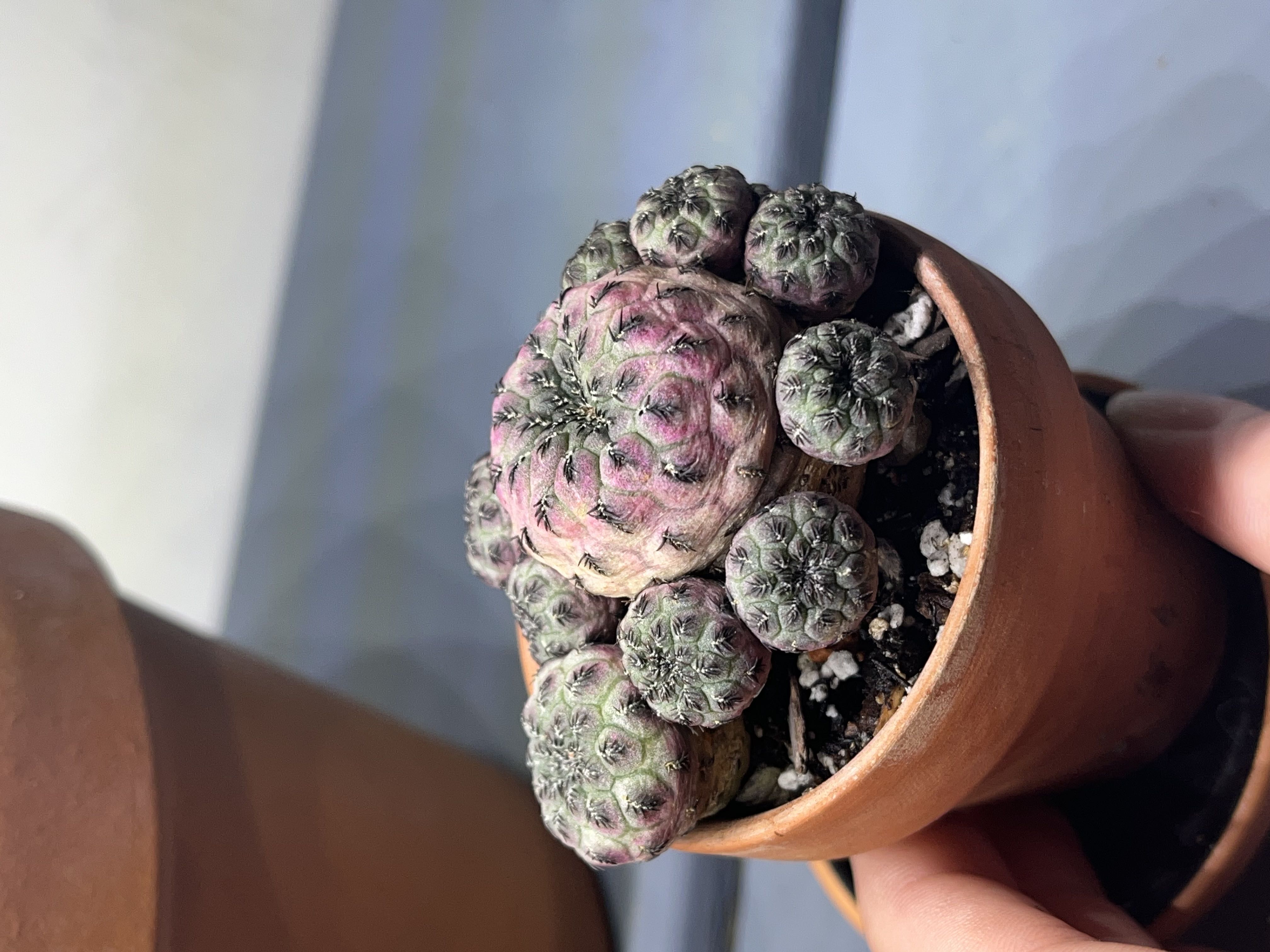 Photo from the post