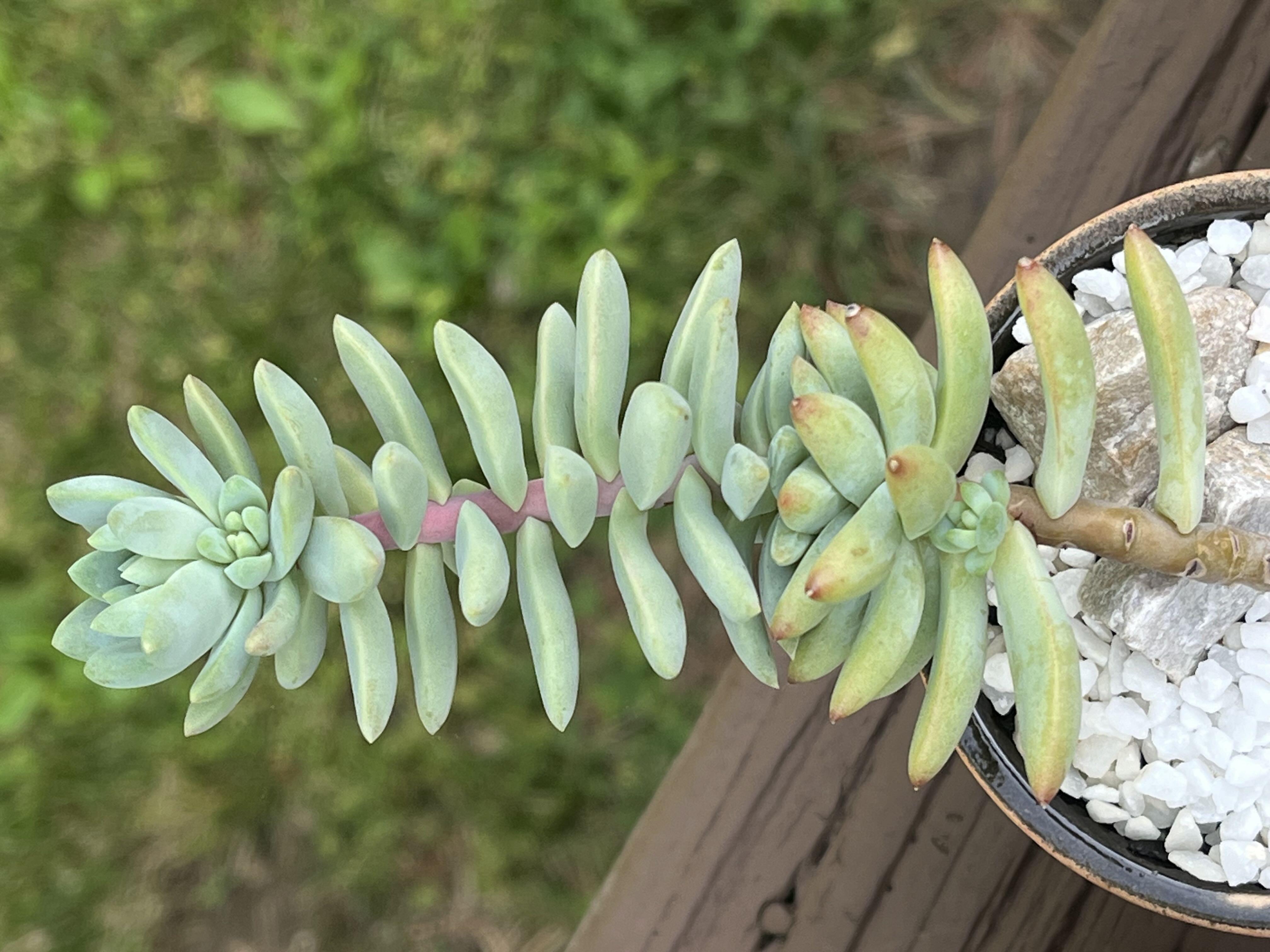 Photo from the post