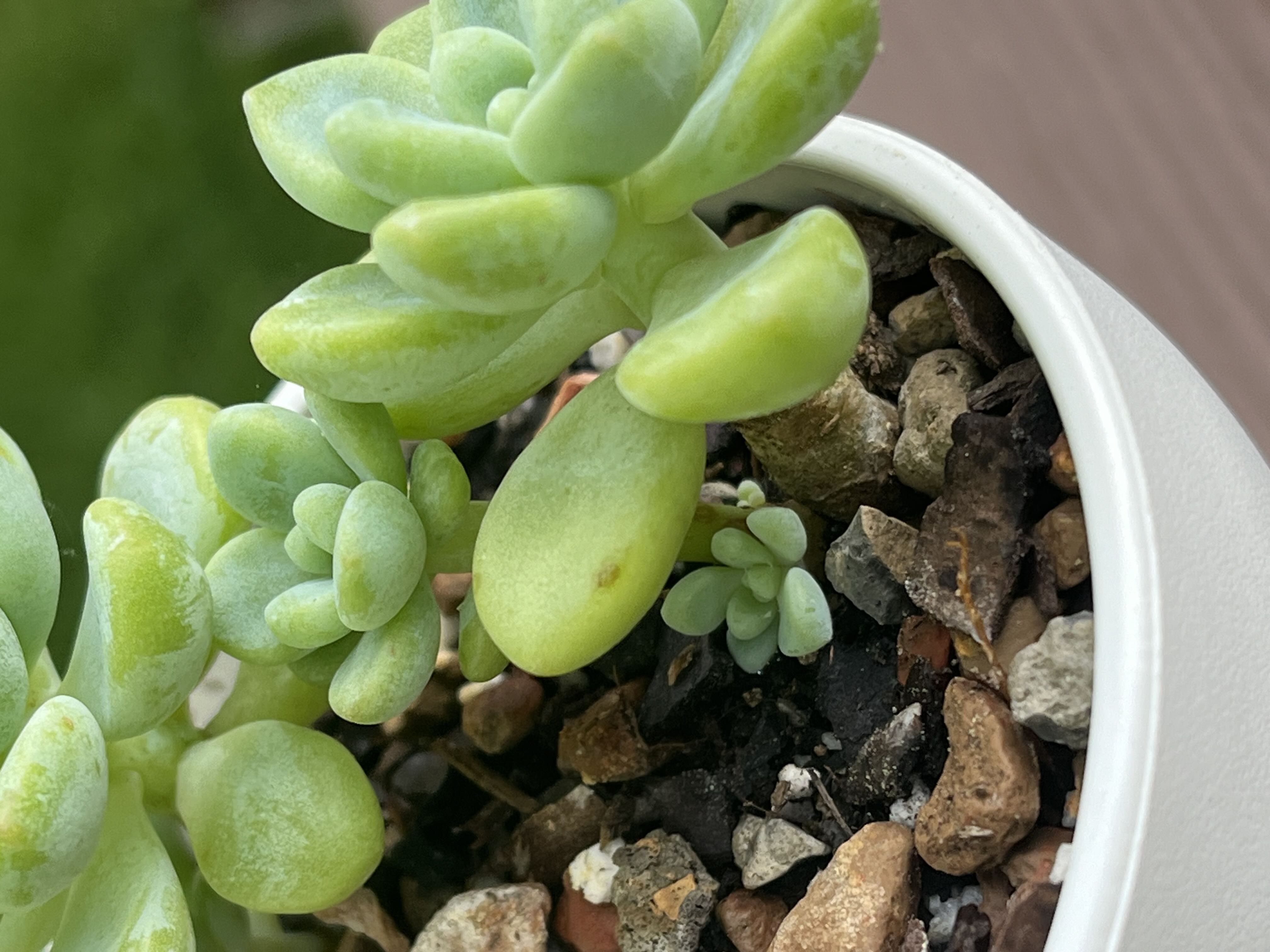Photo from the post