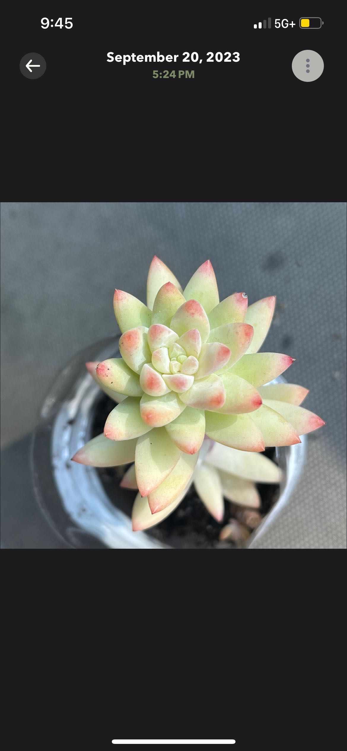 Photo from the post