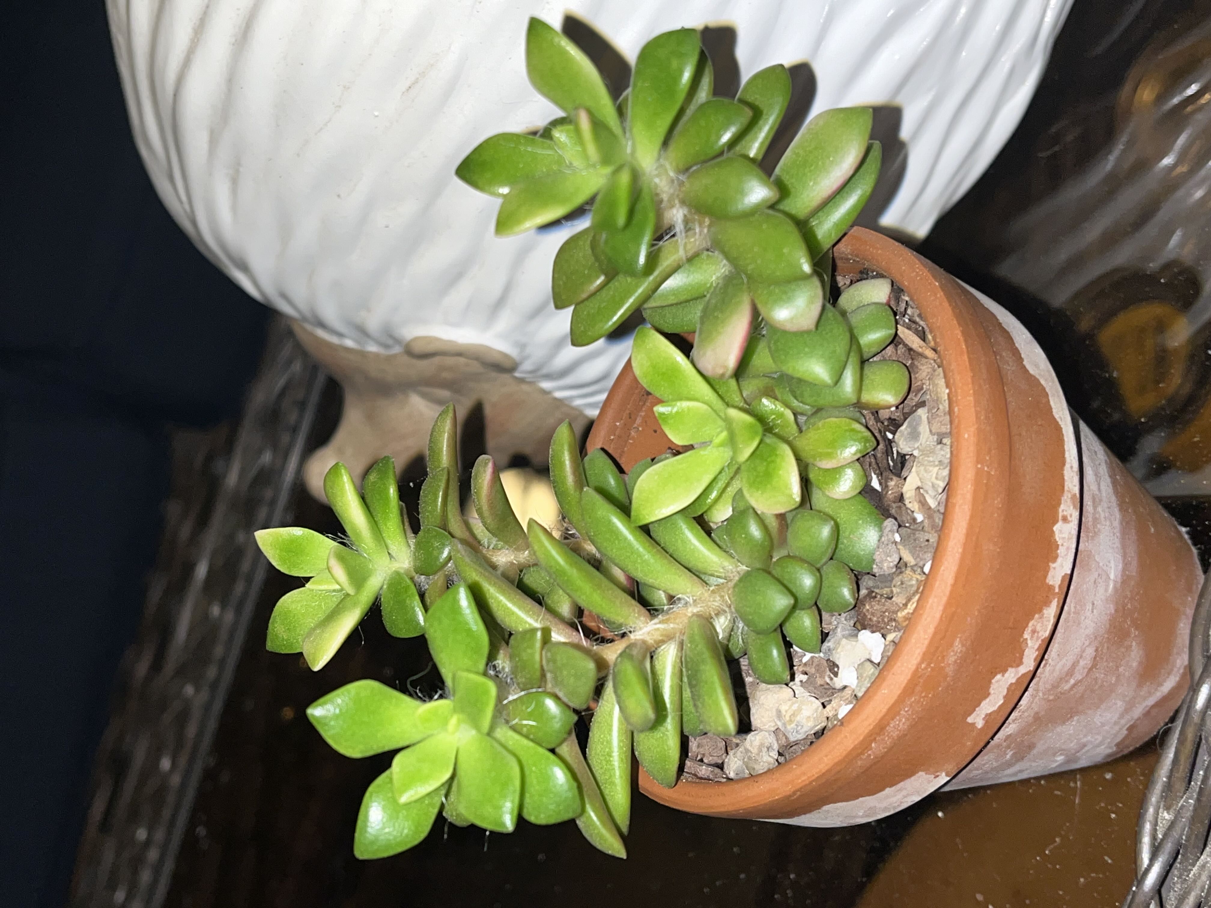 Photo from the post