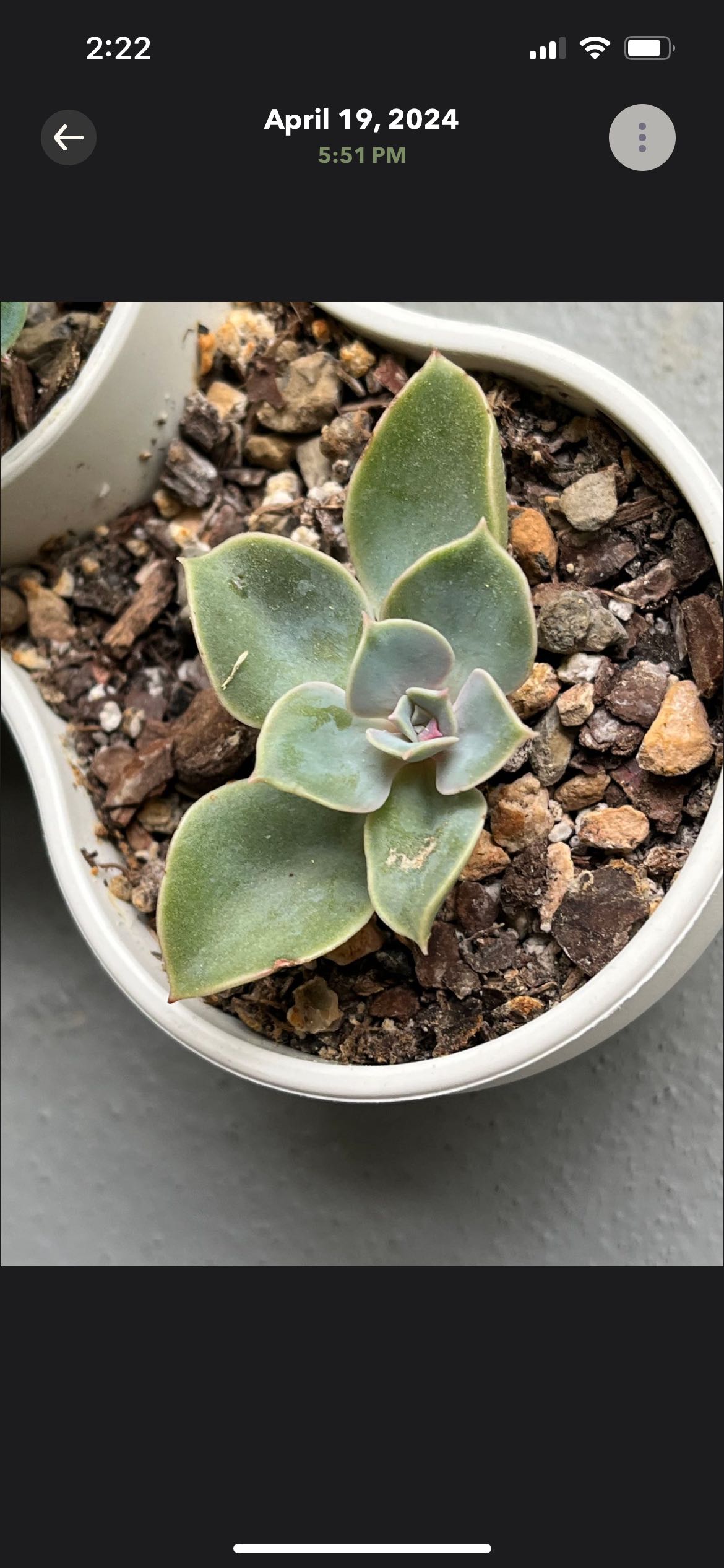 Photo from the post