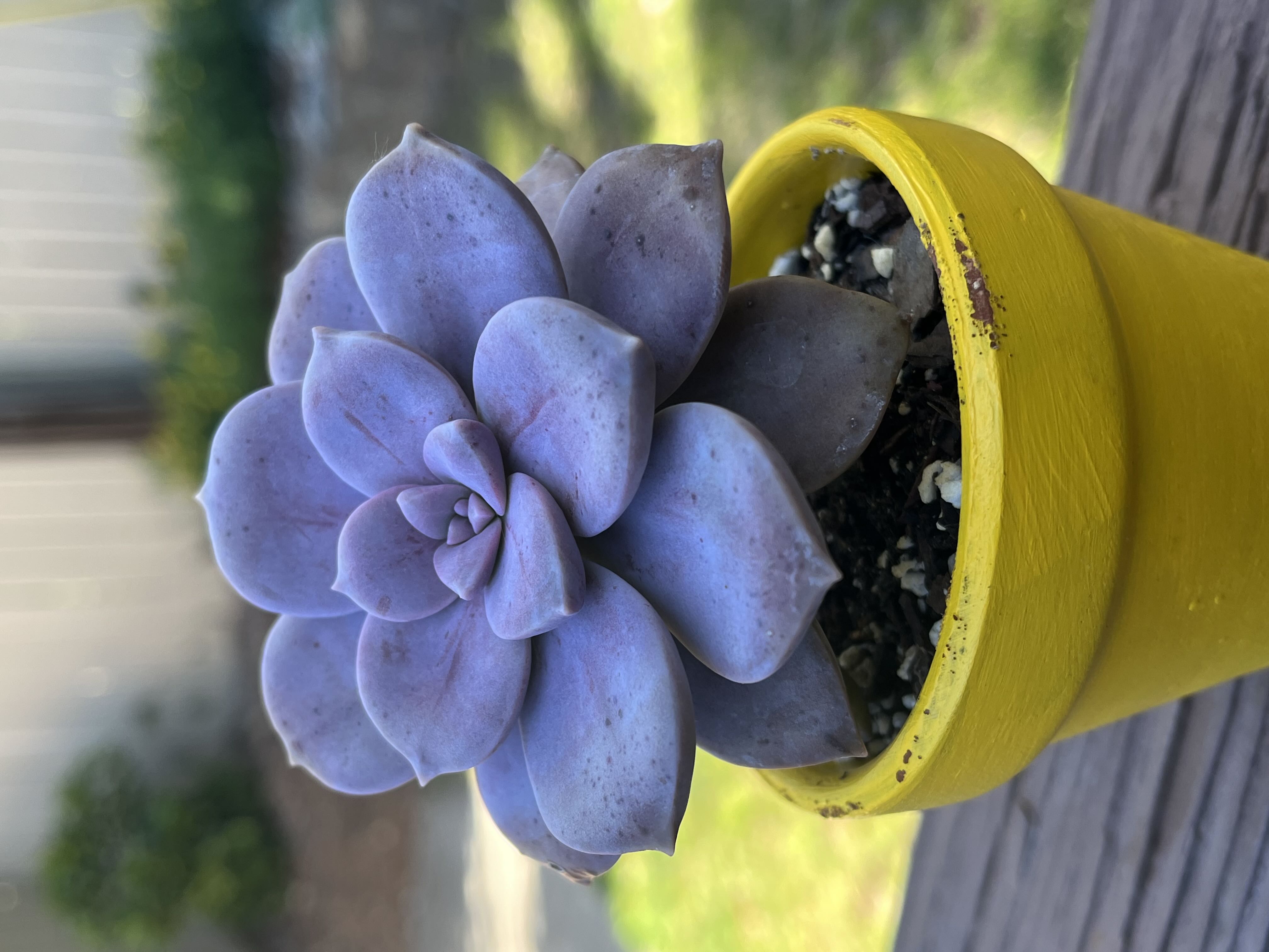 Photo from the post