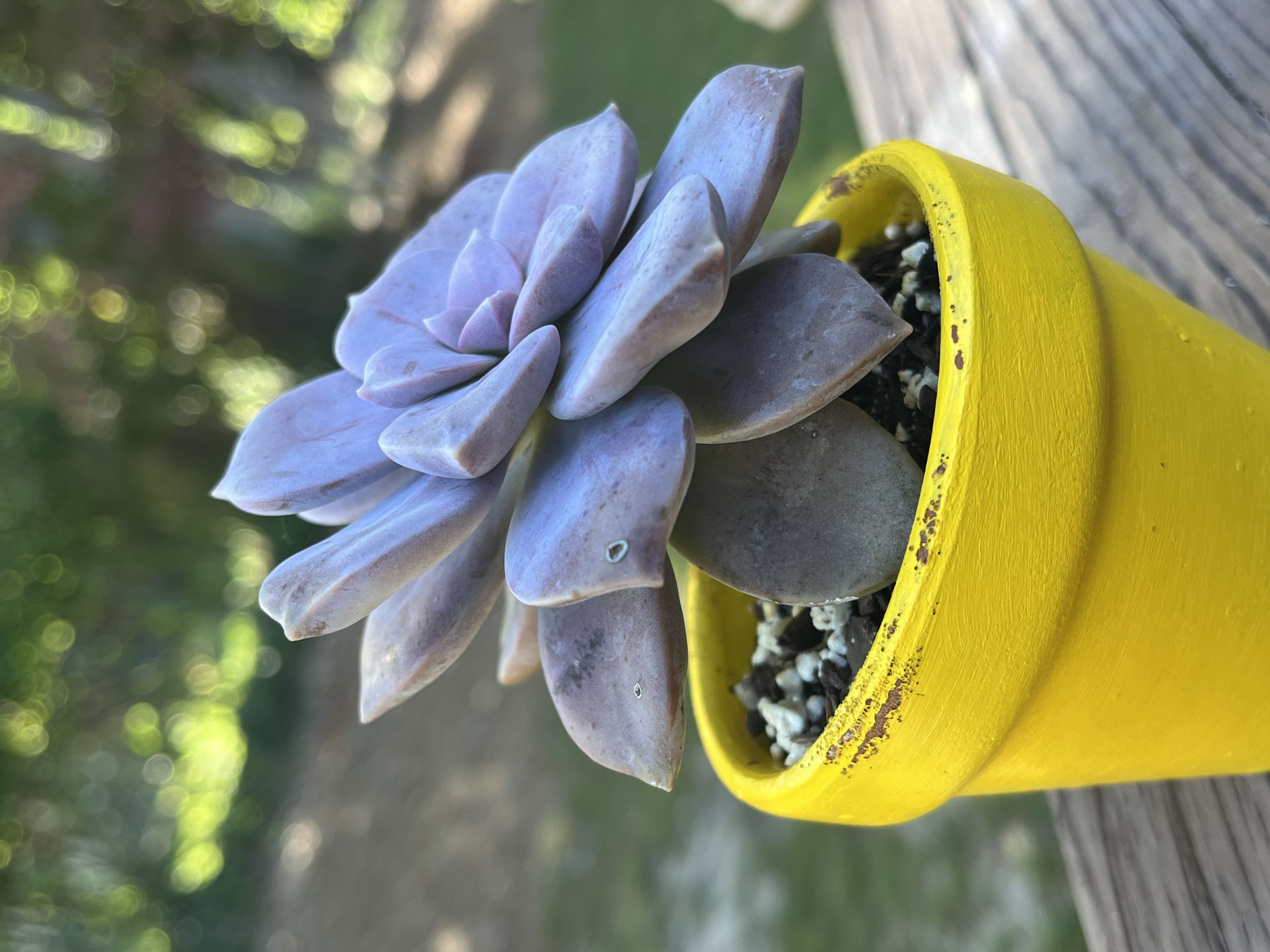 Photo from the post
