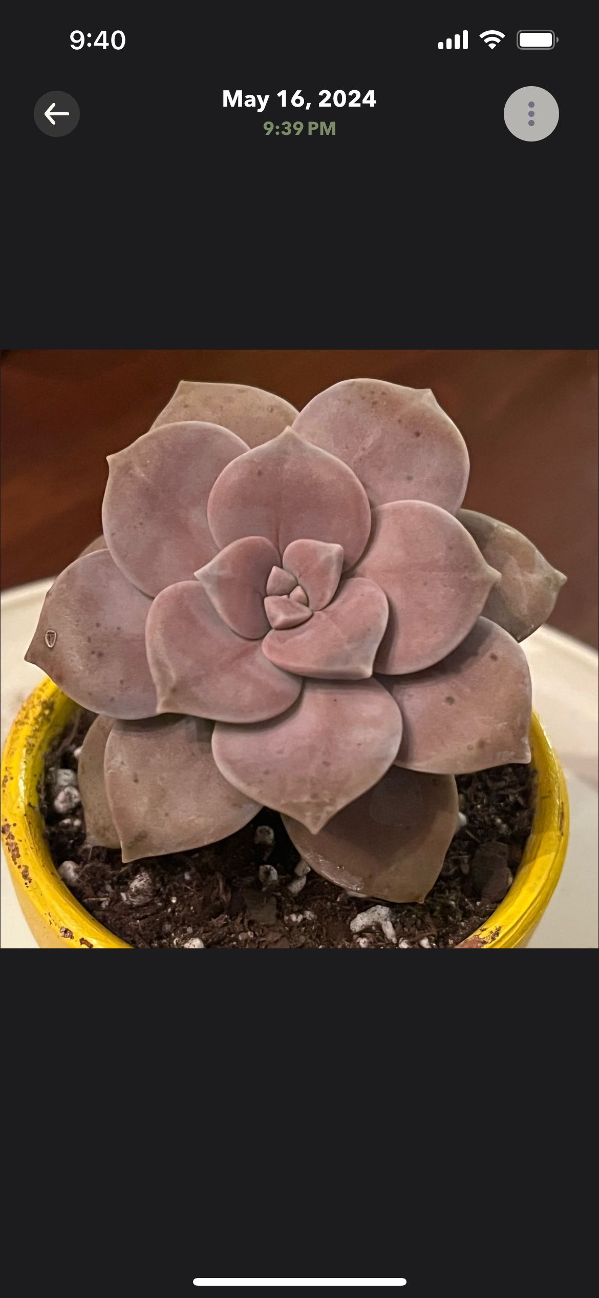 Photo from the post