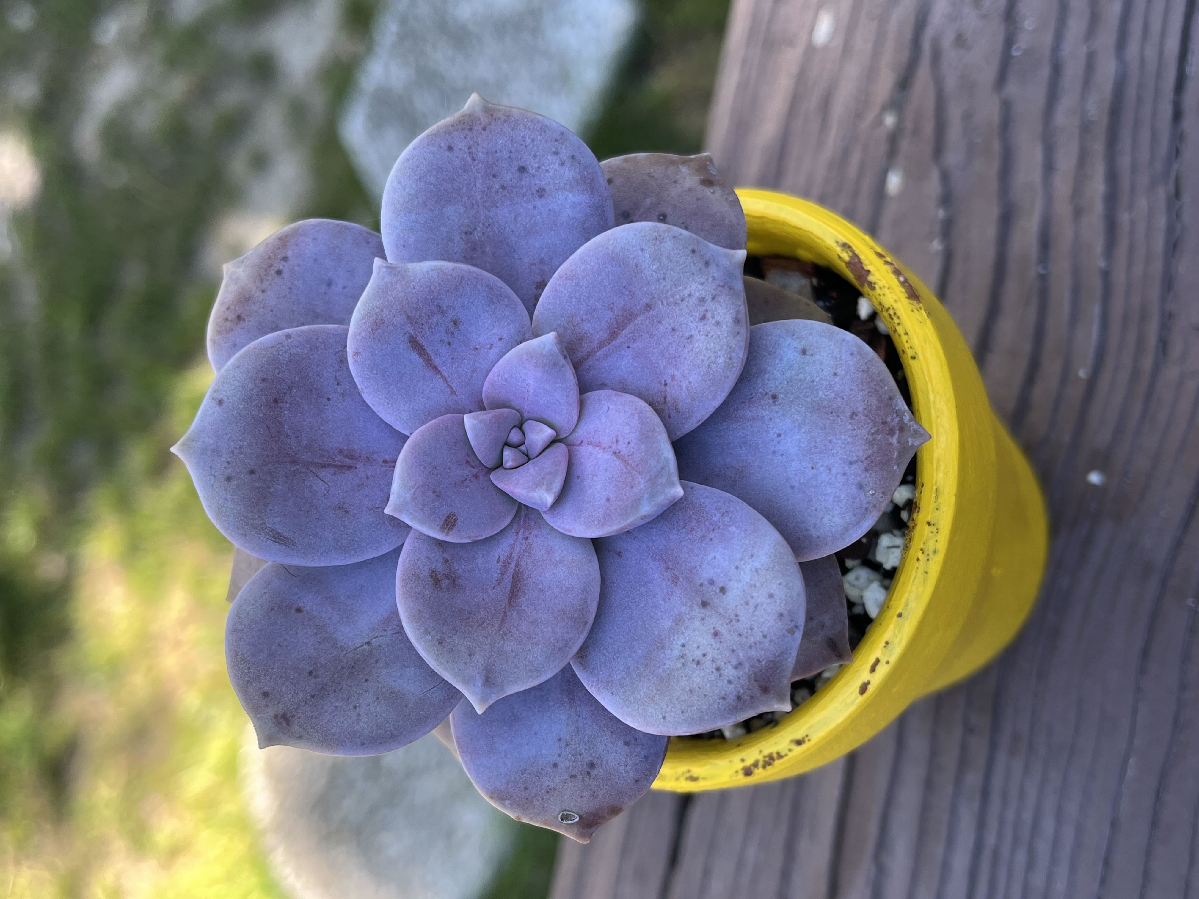 Photo from the post