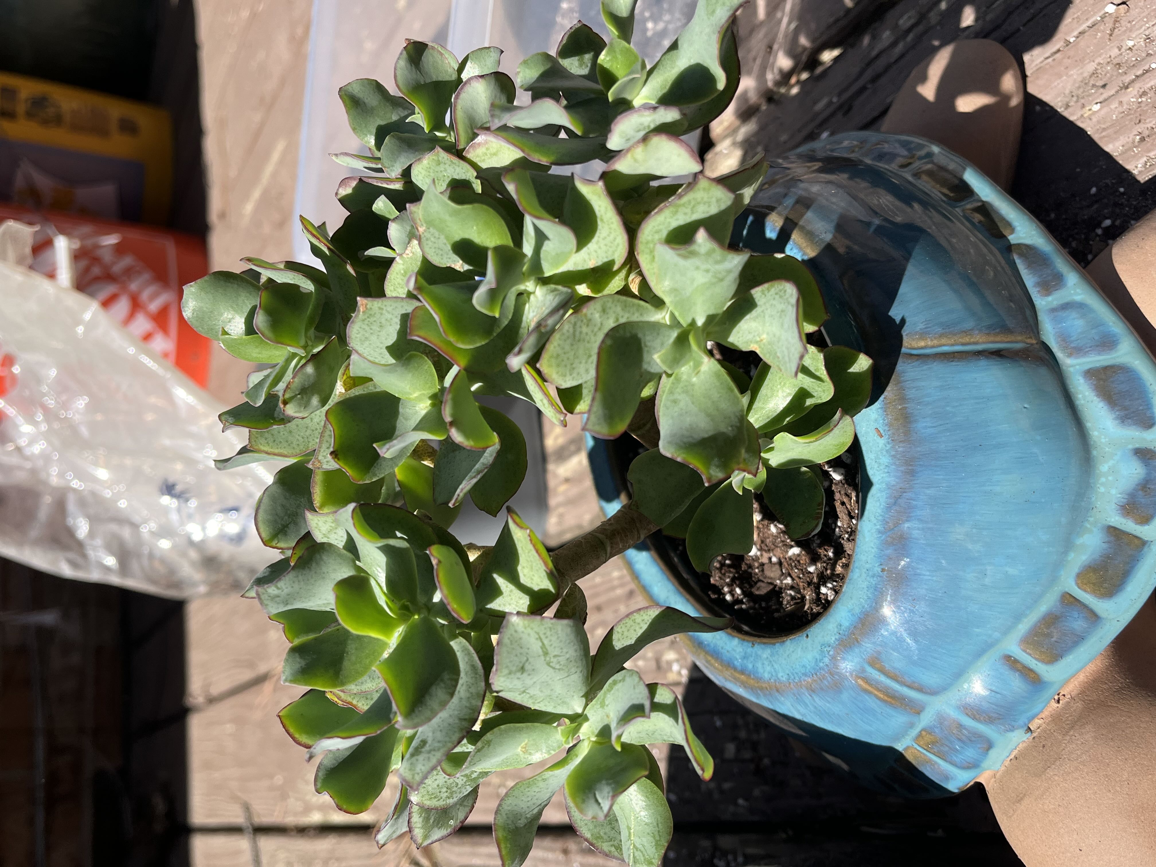 Photo from the post