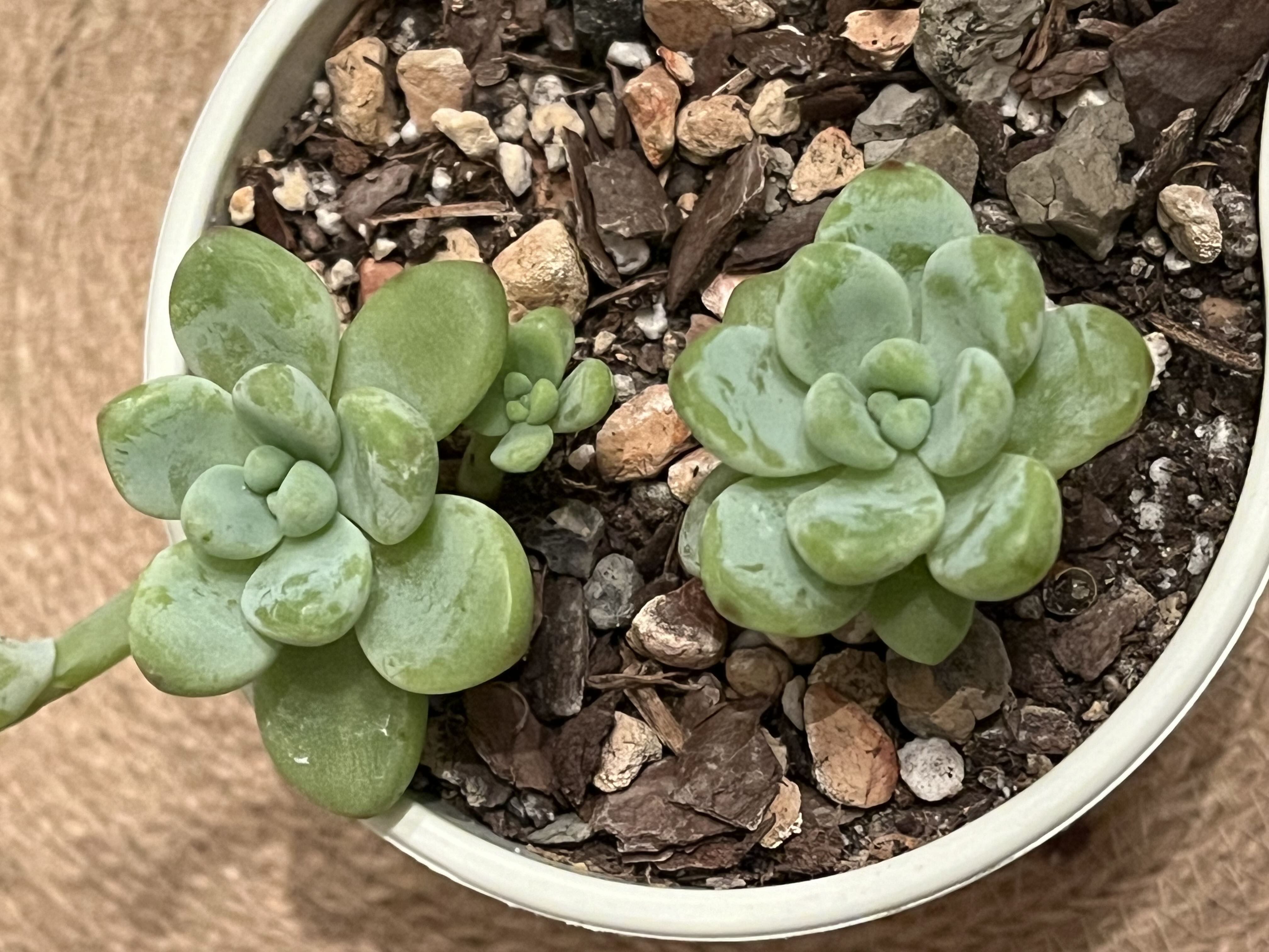 Photo from the post