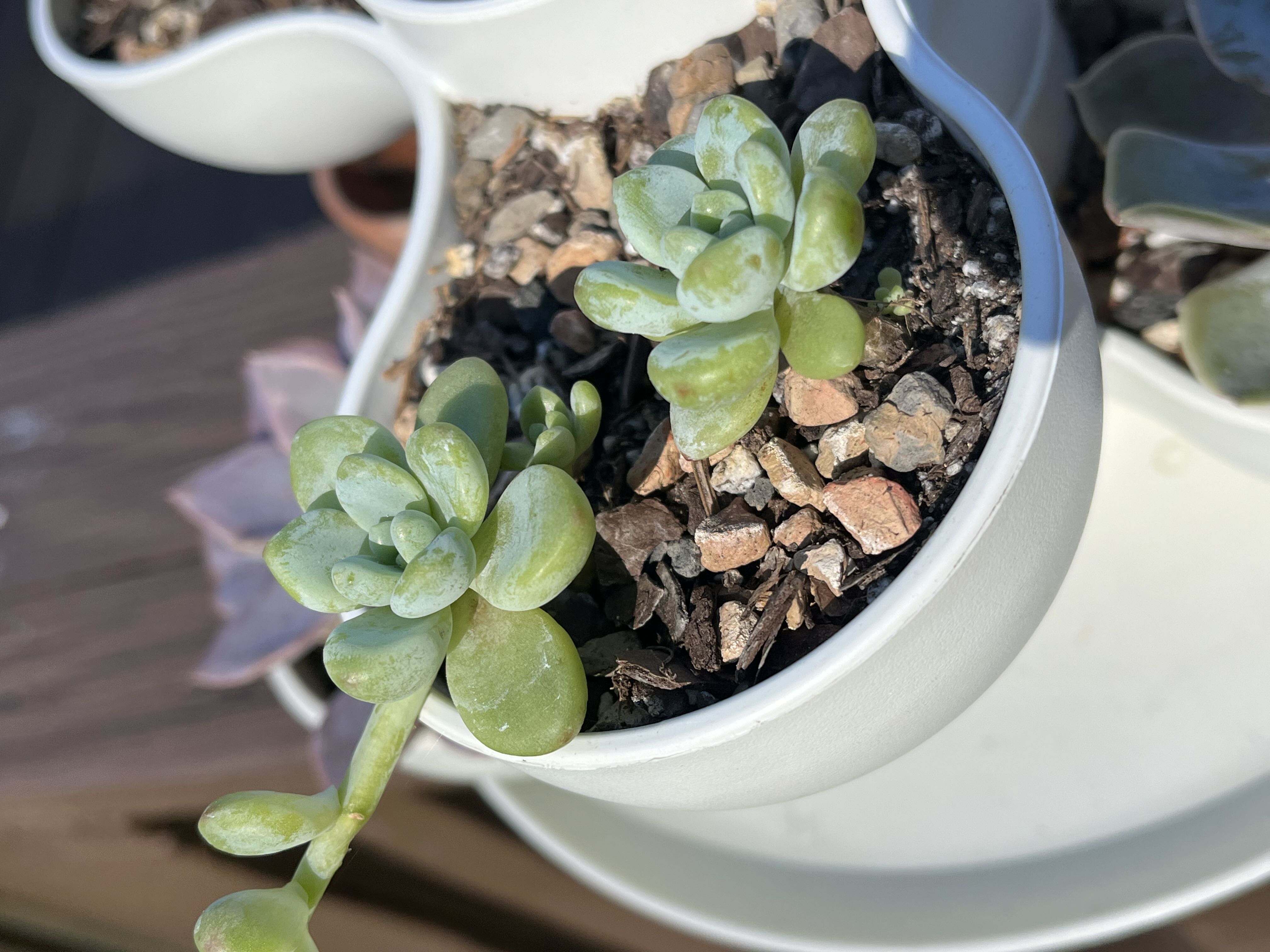Photo from the post