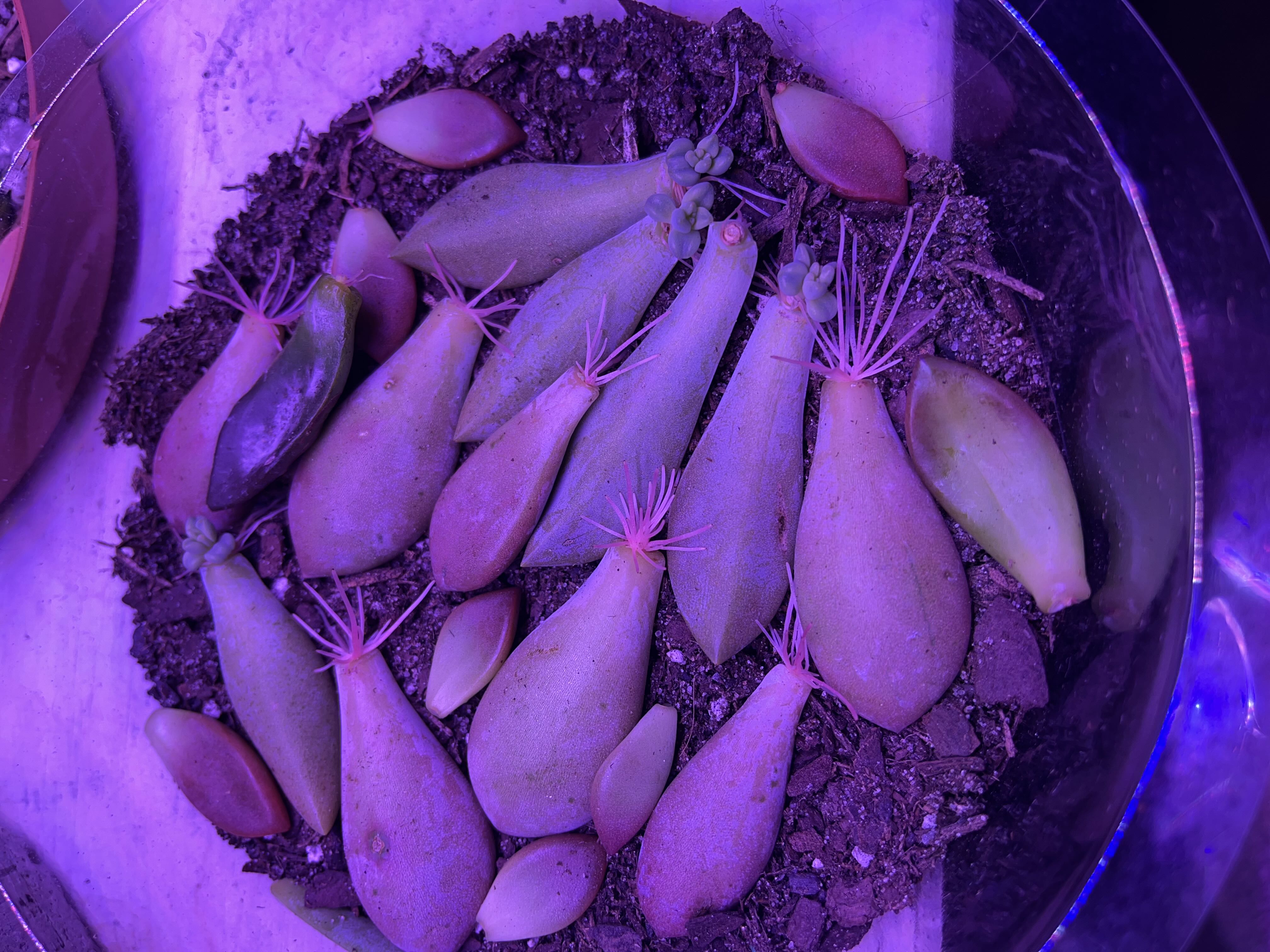 Photo from the post