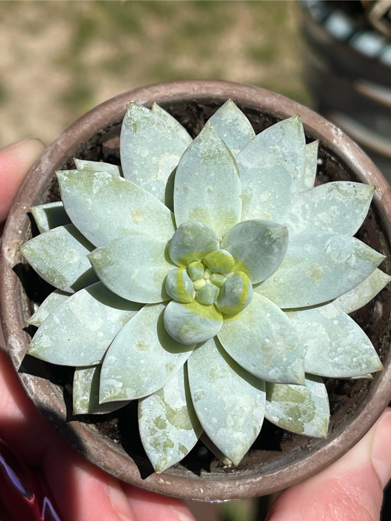 Photo from the post