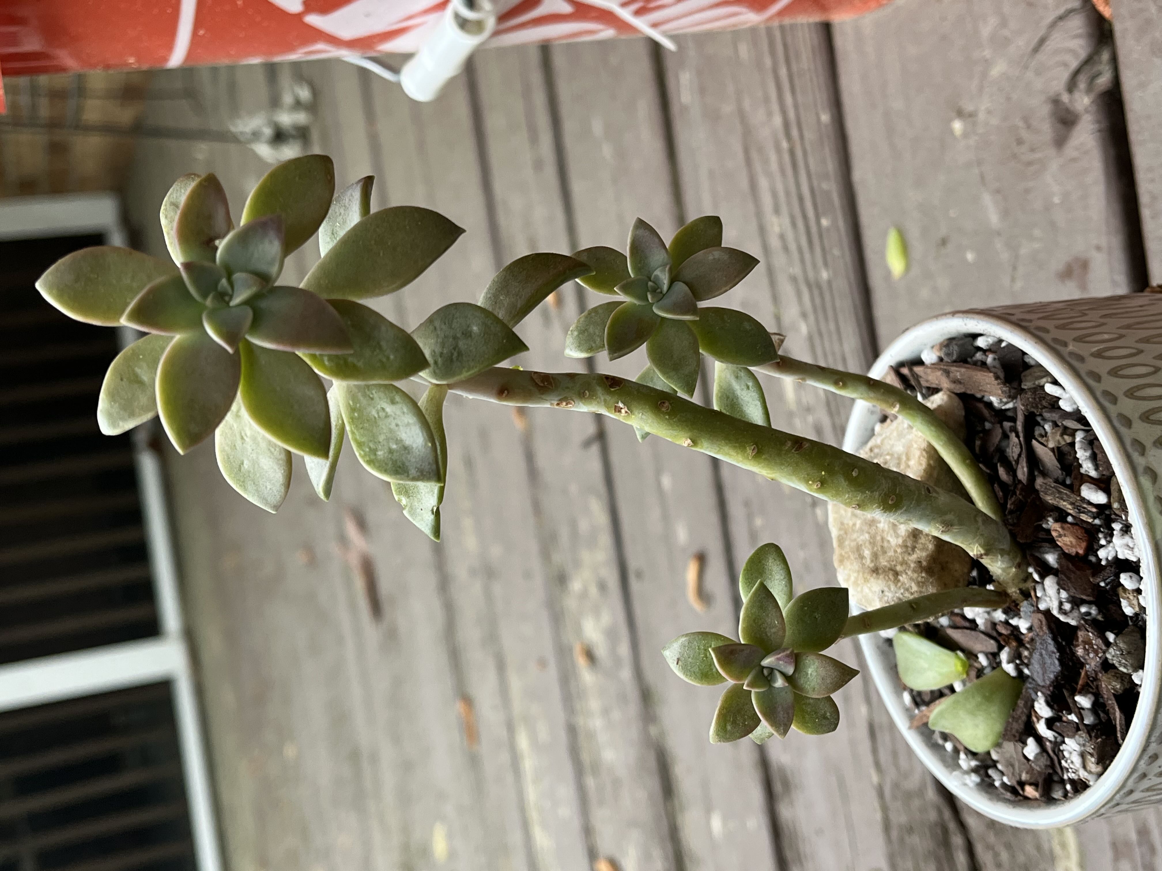 Photo from the post