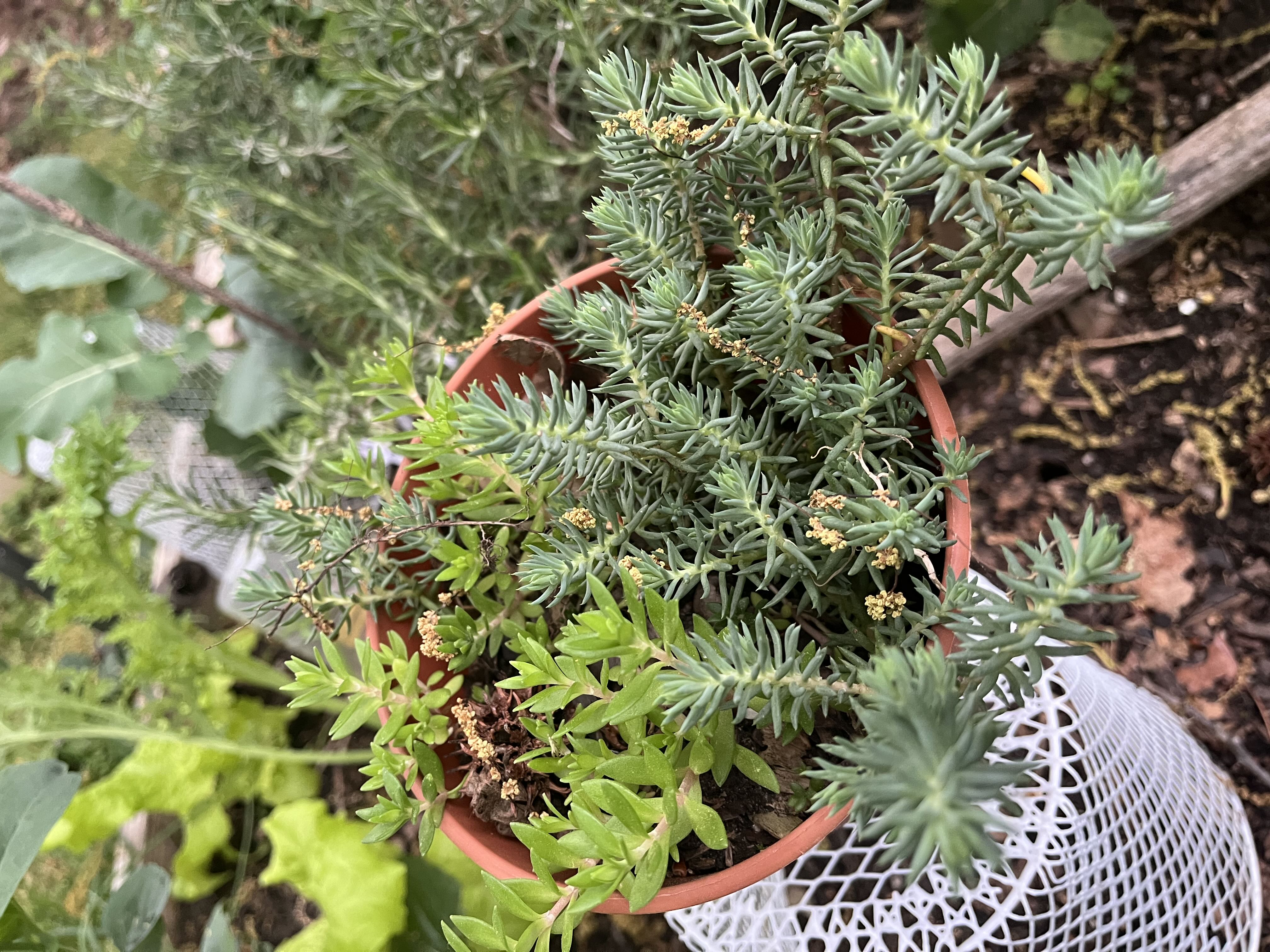Photo from the post