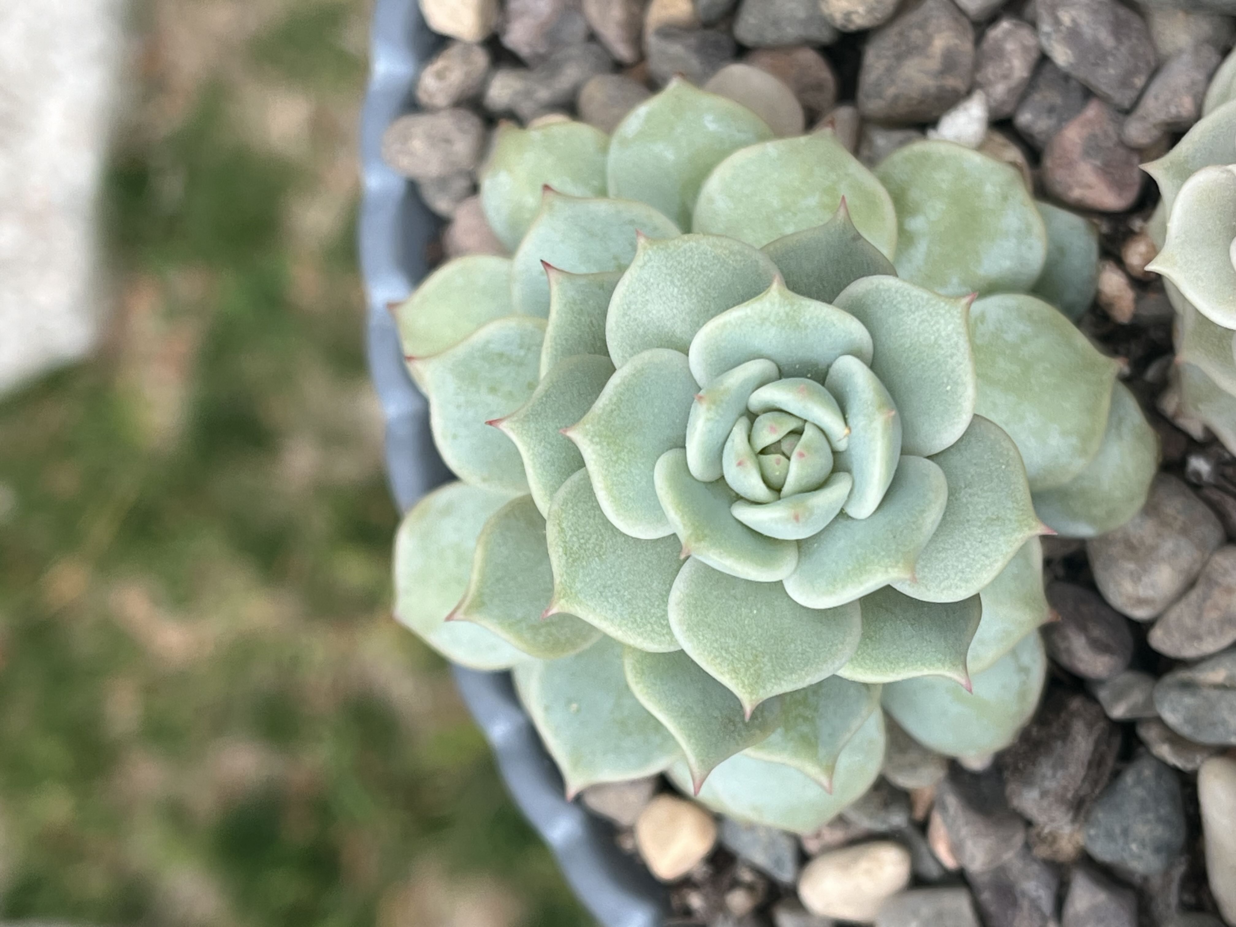 Photo from the post