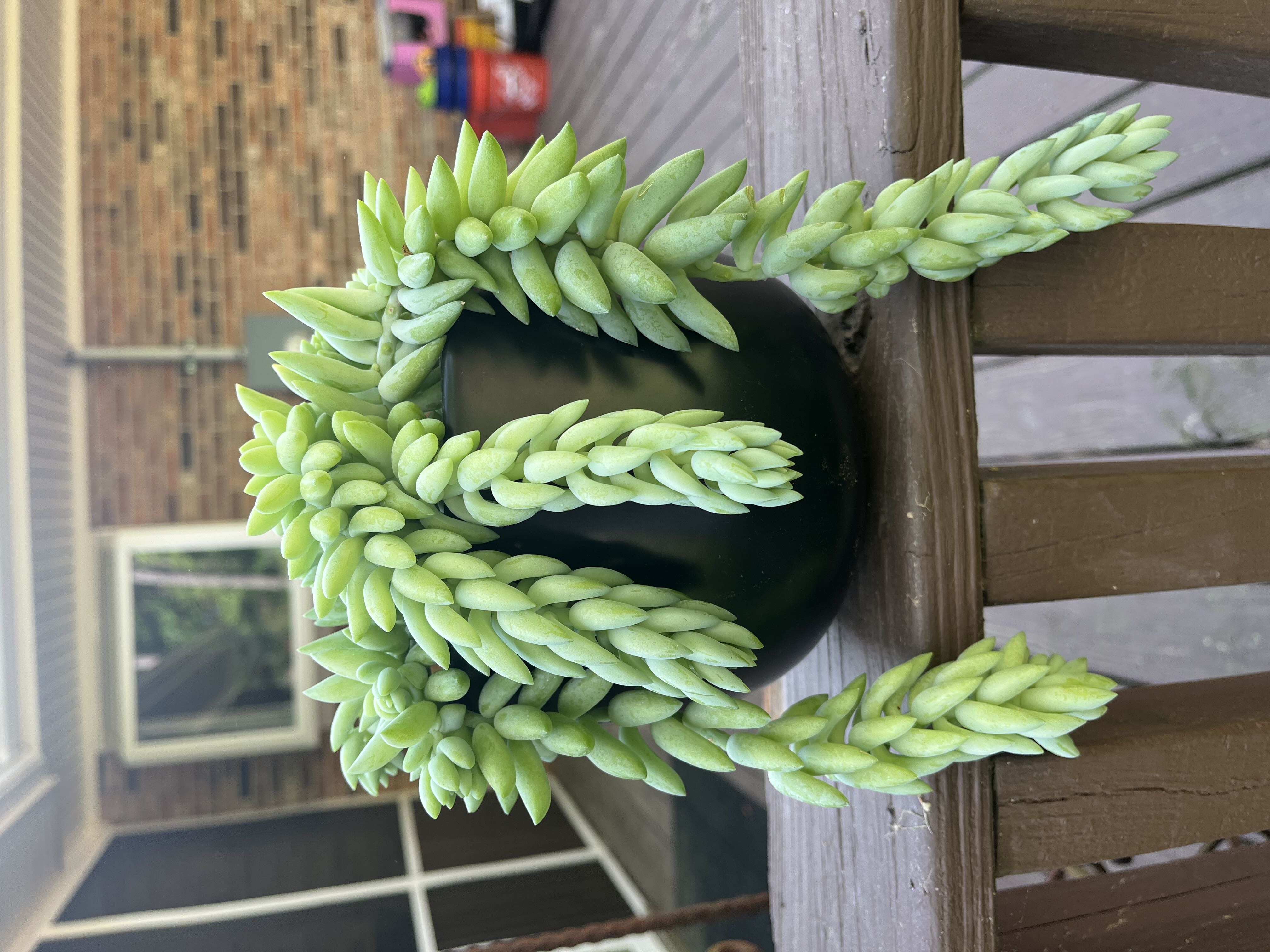 Photo from the post
